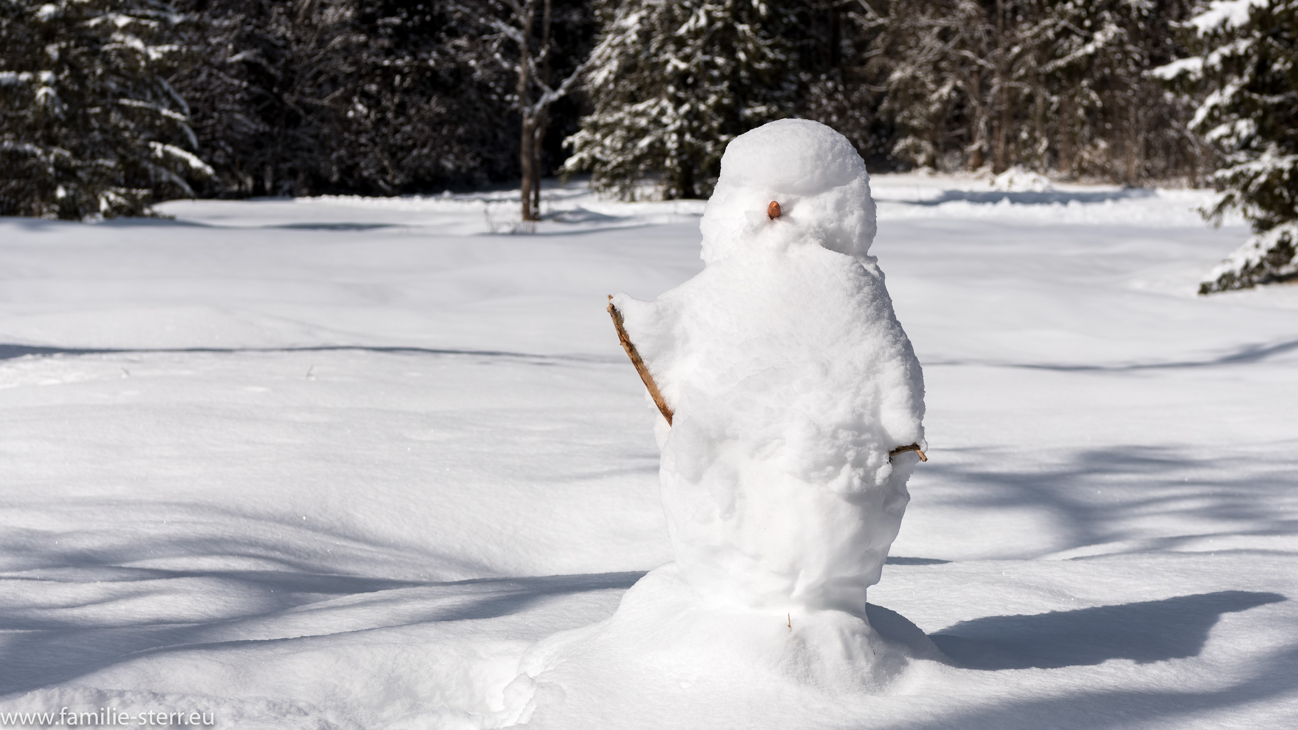Schloss Linderhof im Winter 4
