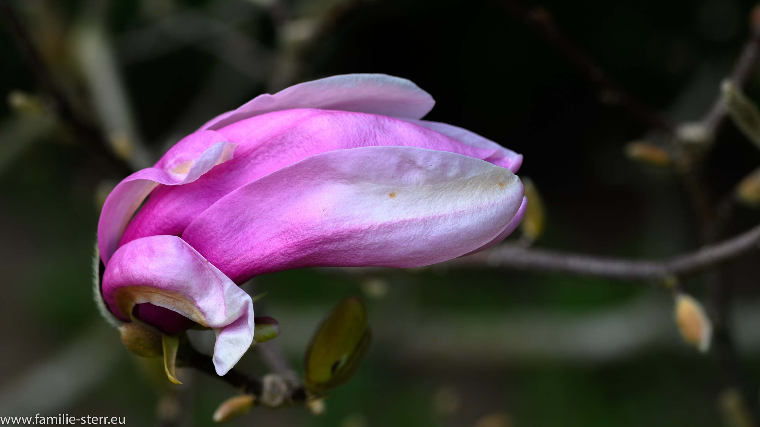 Sichtungsgarten Freising / Weihenstephan