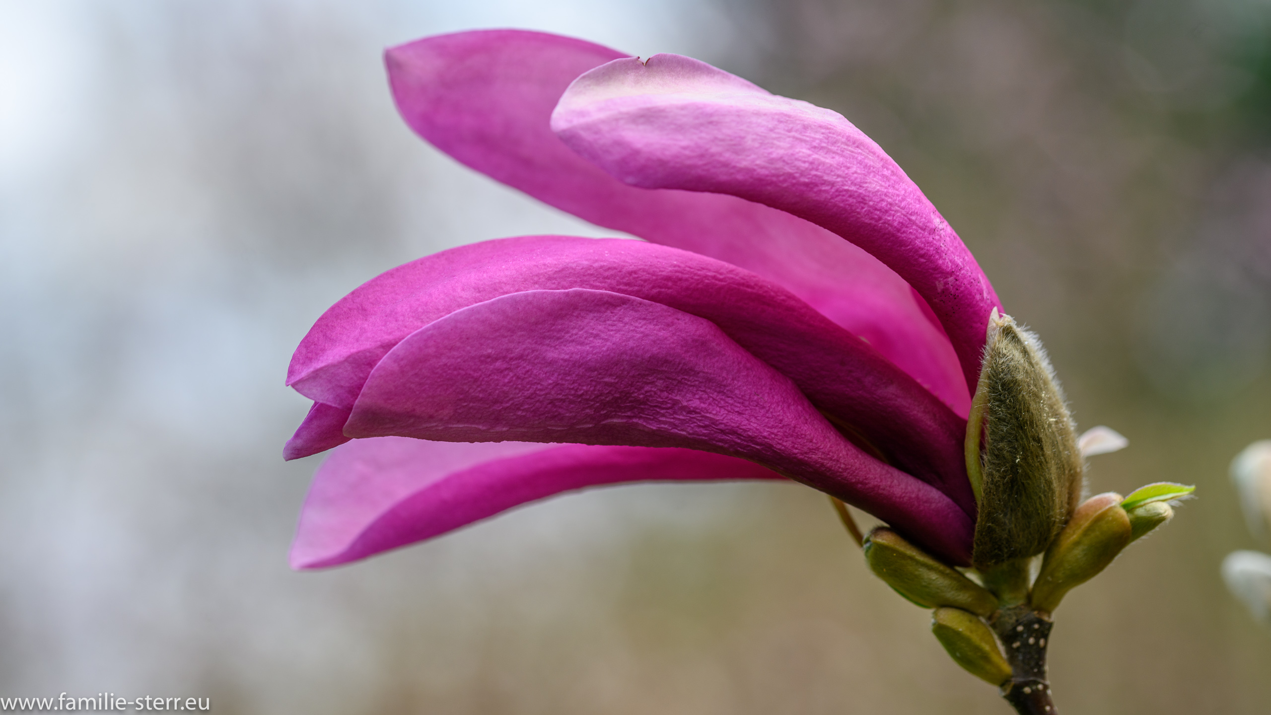 Sichtungsgarten Freising / Weihenstephan