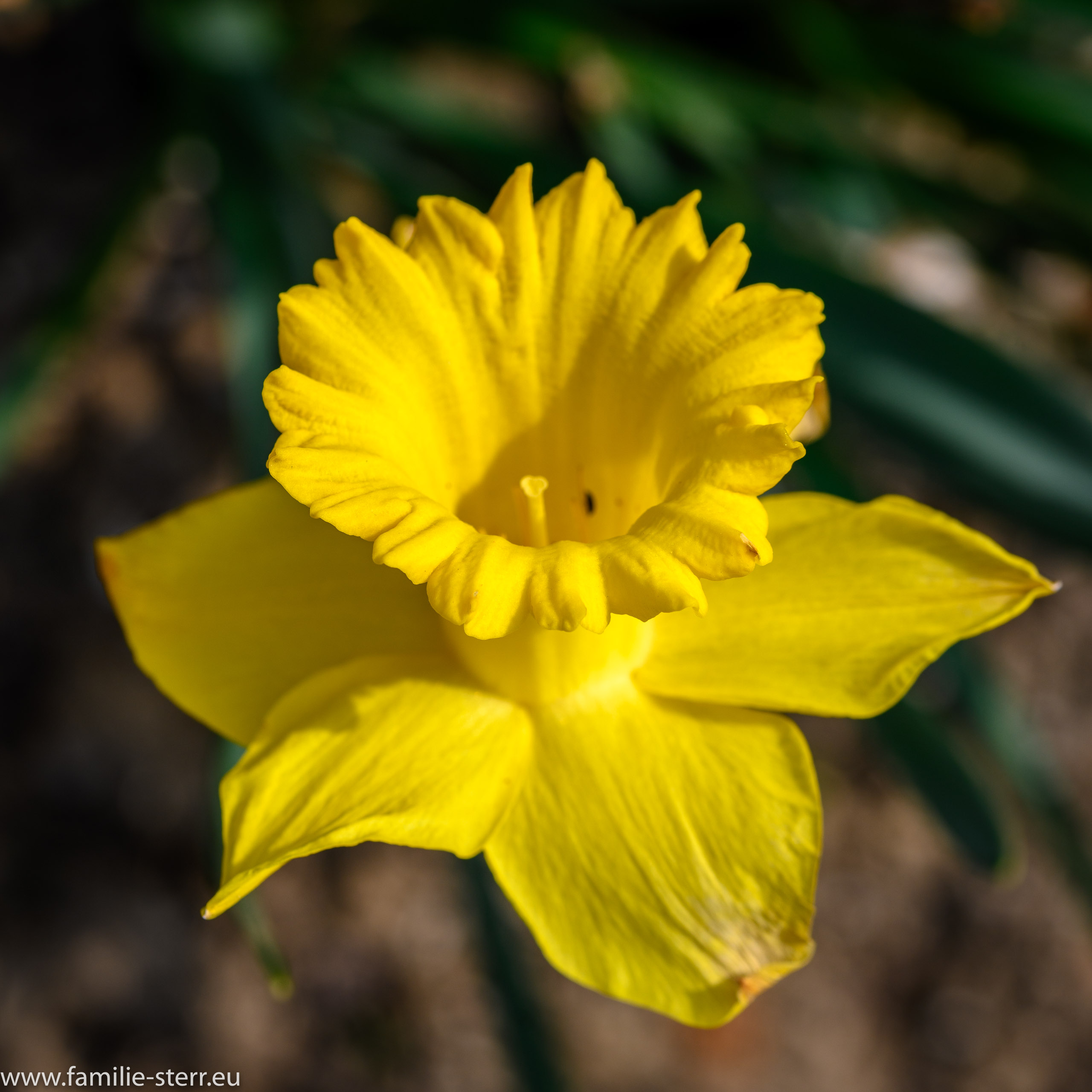 Sichtungsgarten Freising / Weihenstephan