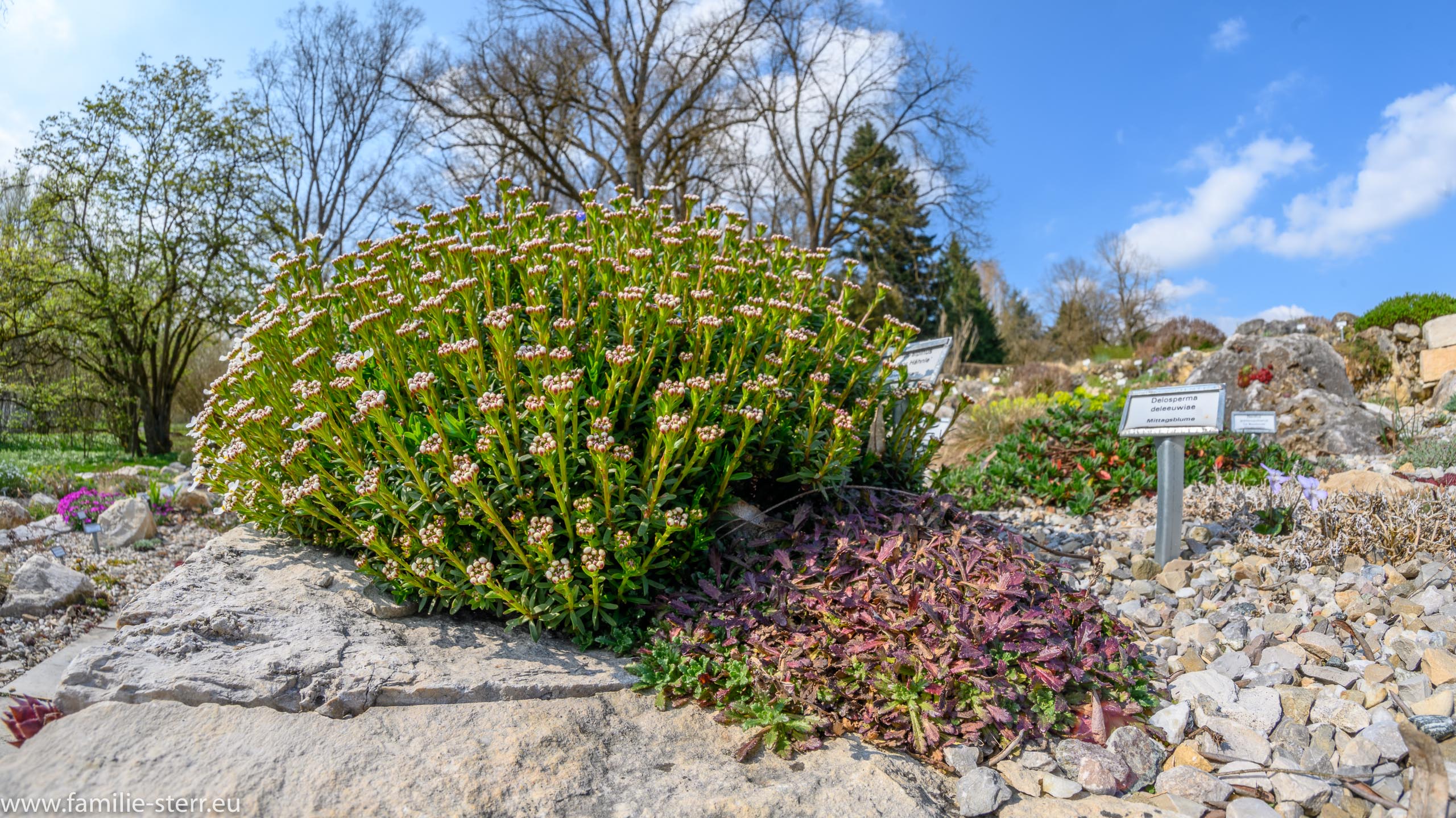 Sichtungsgarten Freising / Weihenstephan