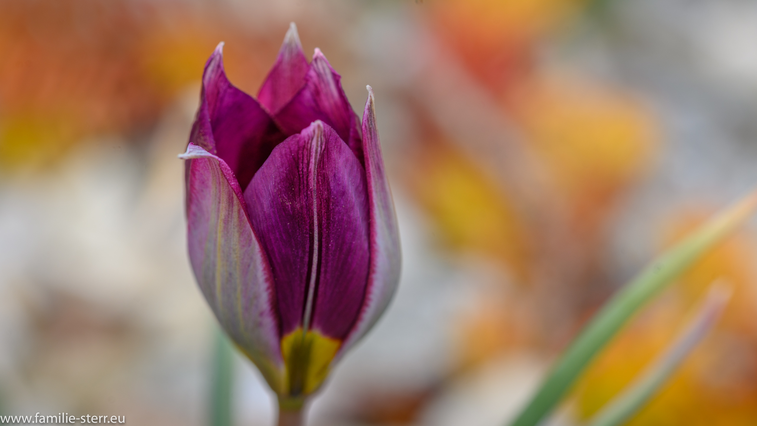 Sichtungsgarten Freising / Weihenstephan