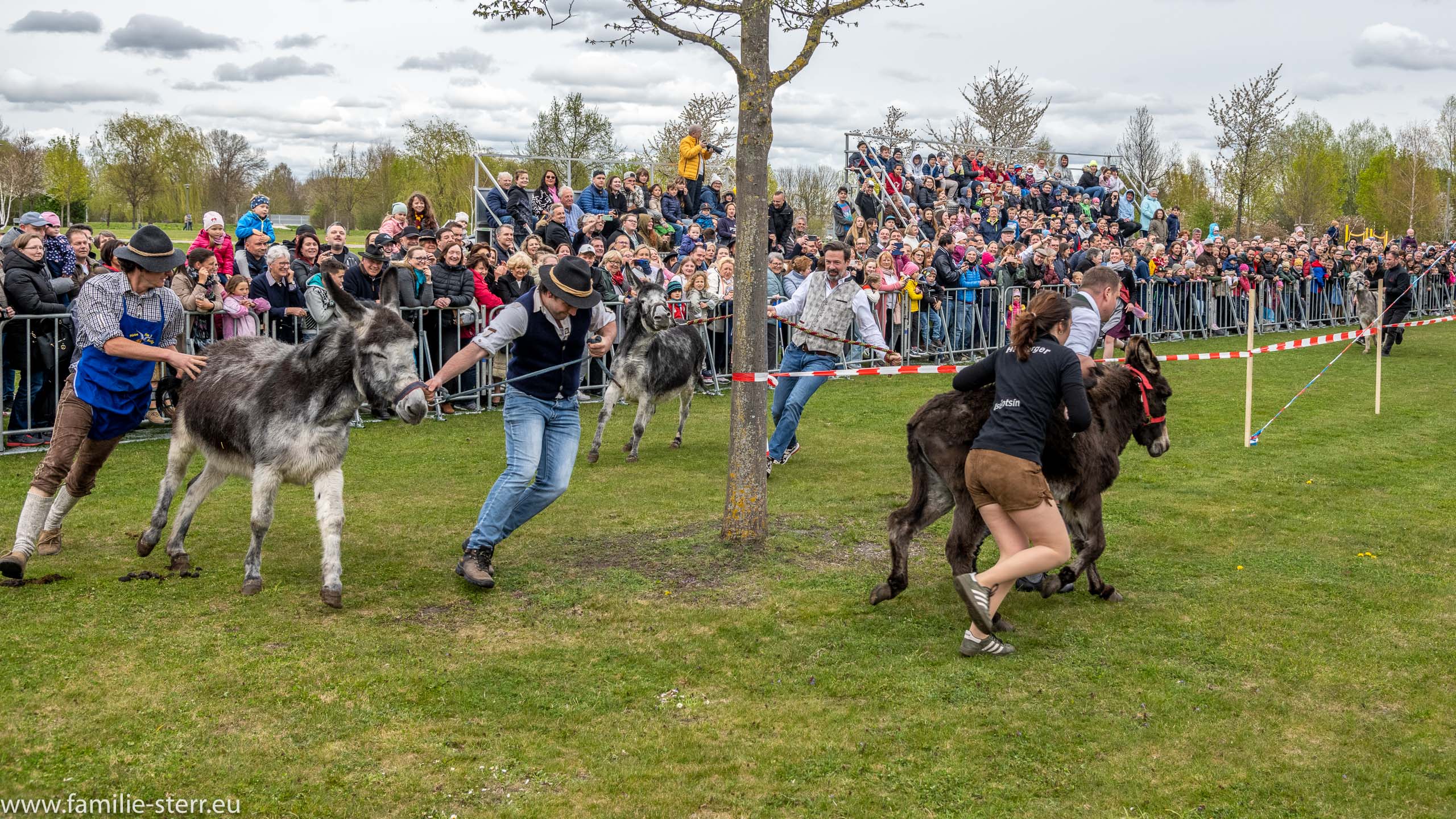 Eselrennen 2022