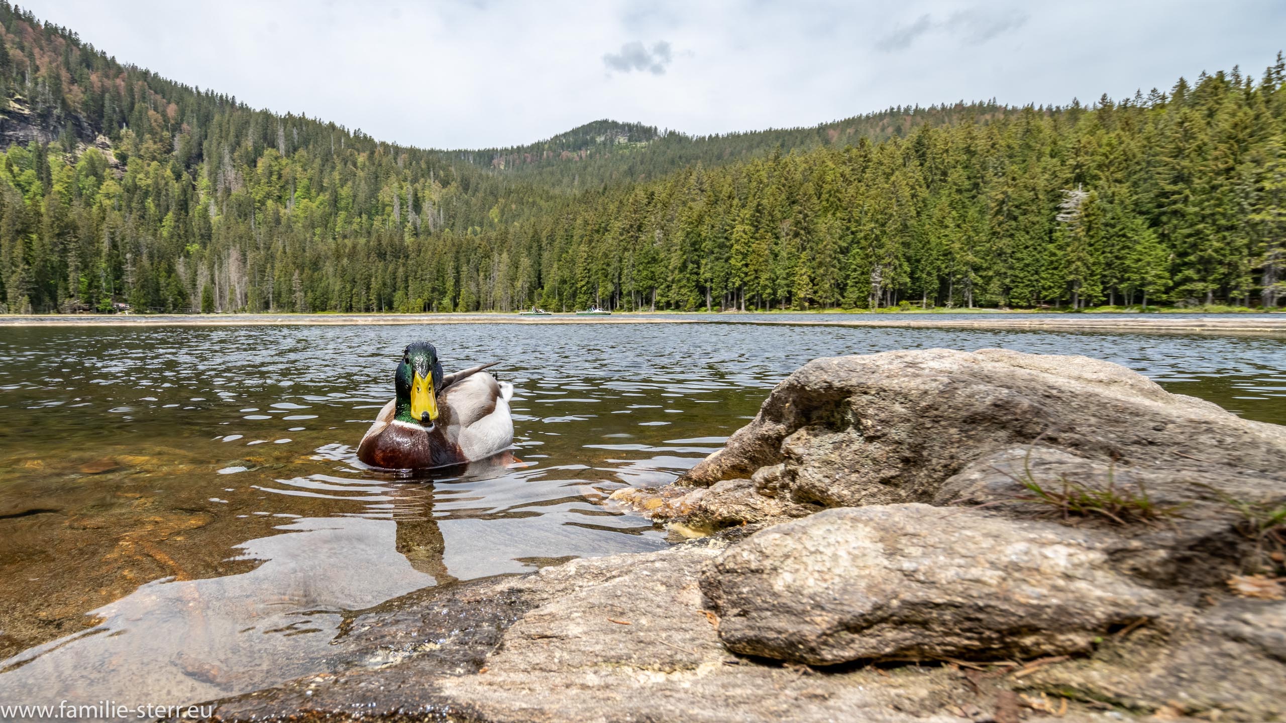 Grosser Arbersee
