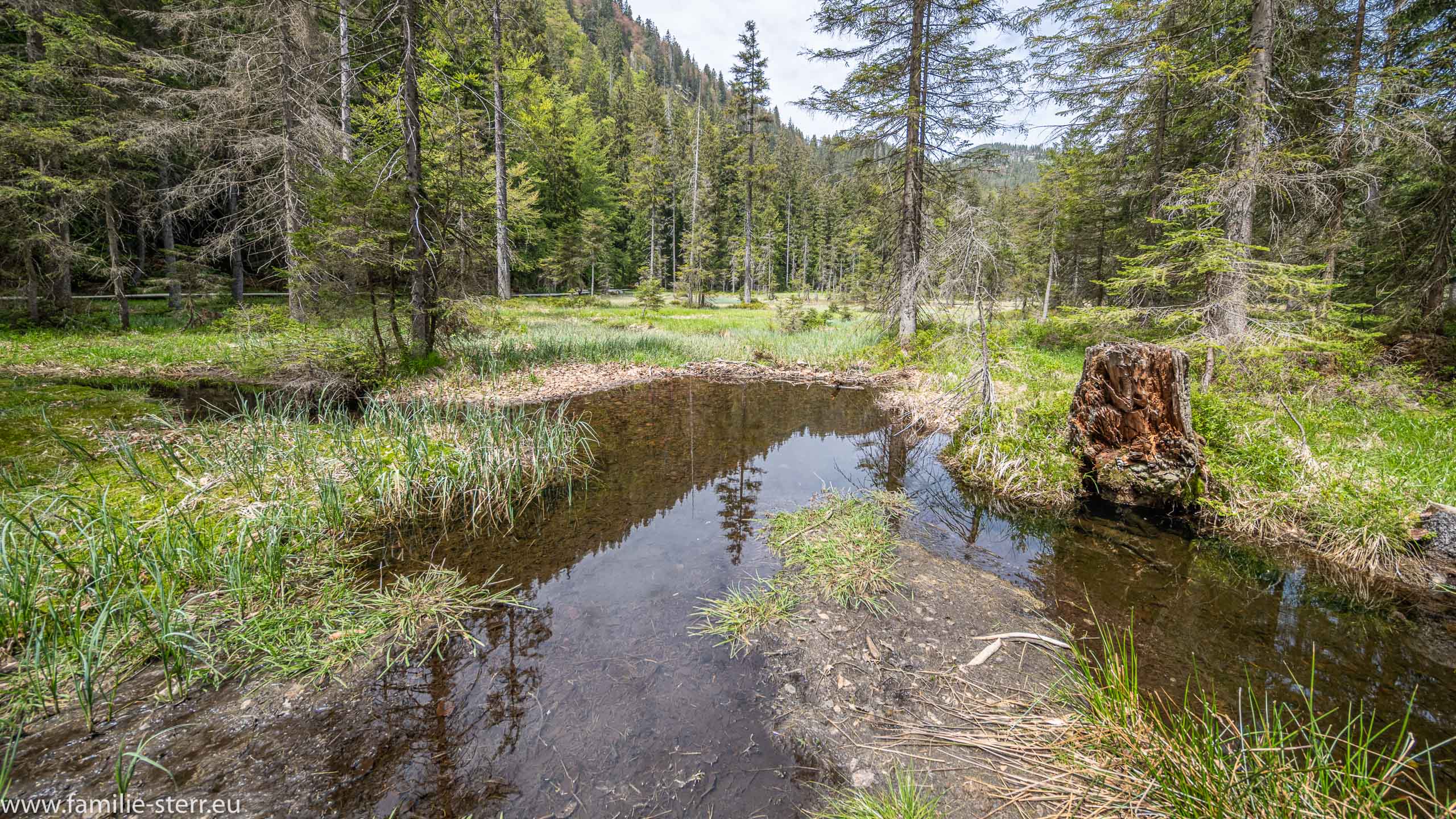 Grosser Arbersee