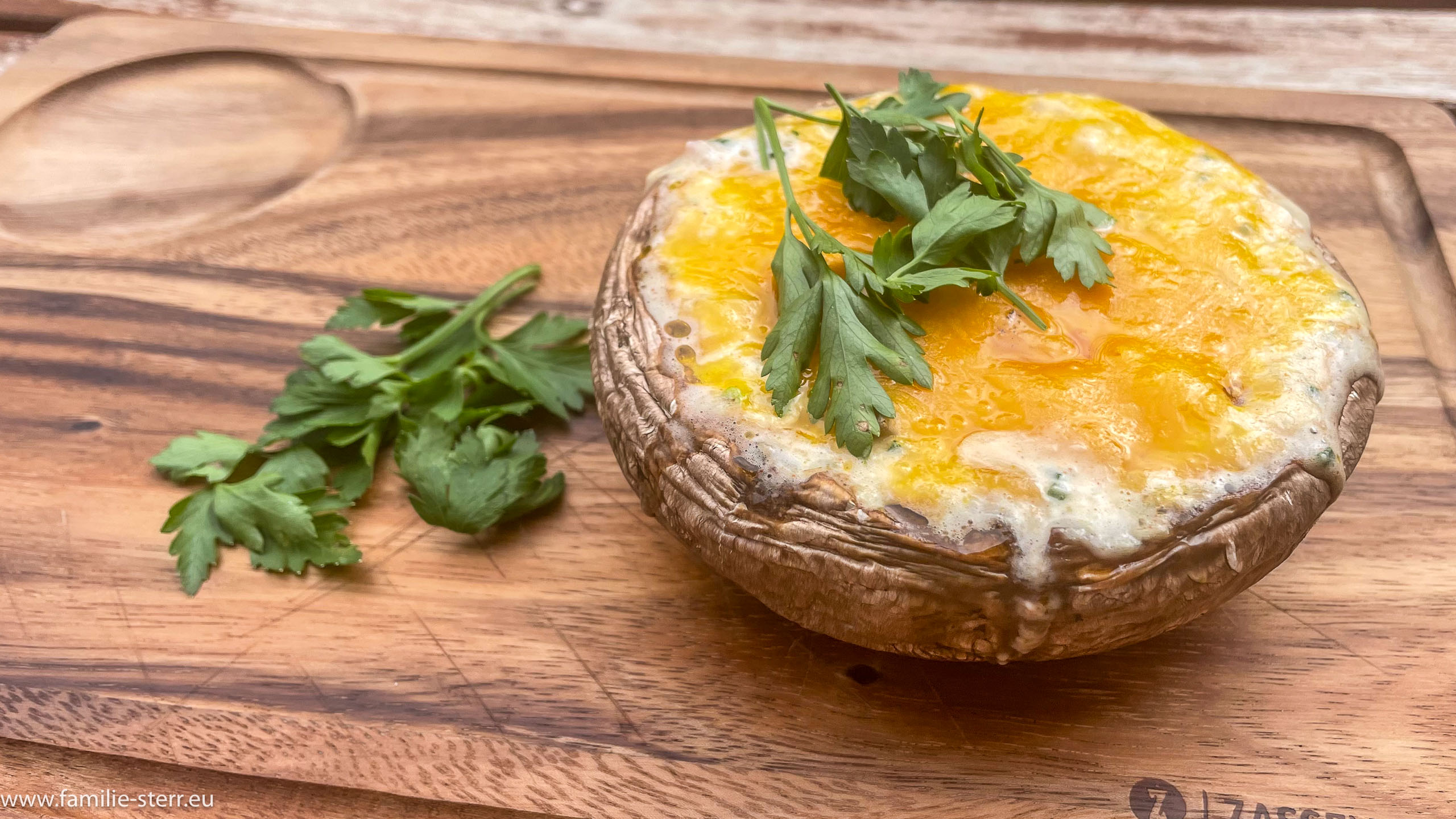 Portobello - Pilze