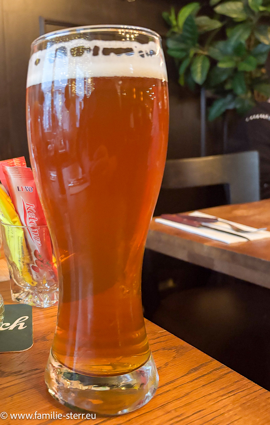 Cuddle Pub Amsterdam