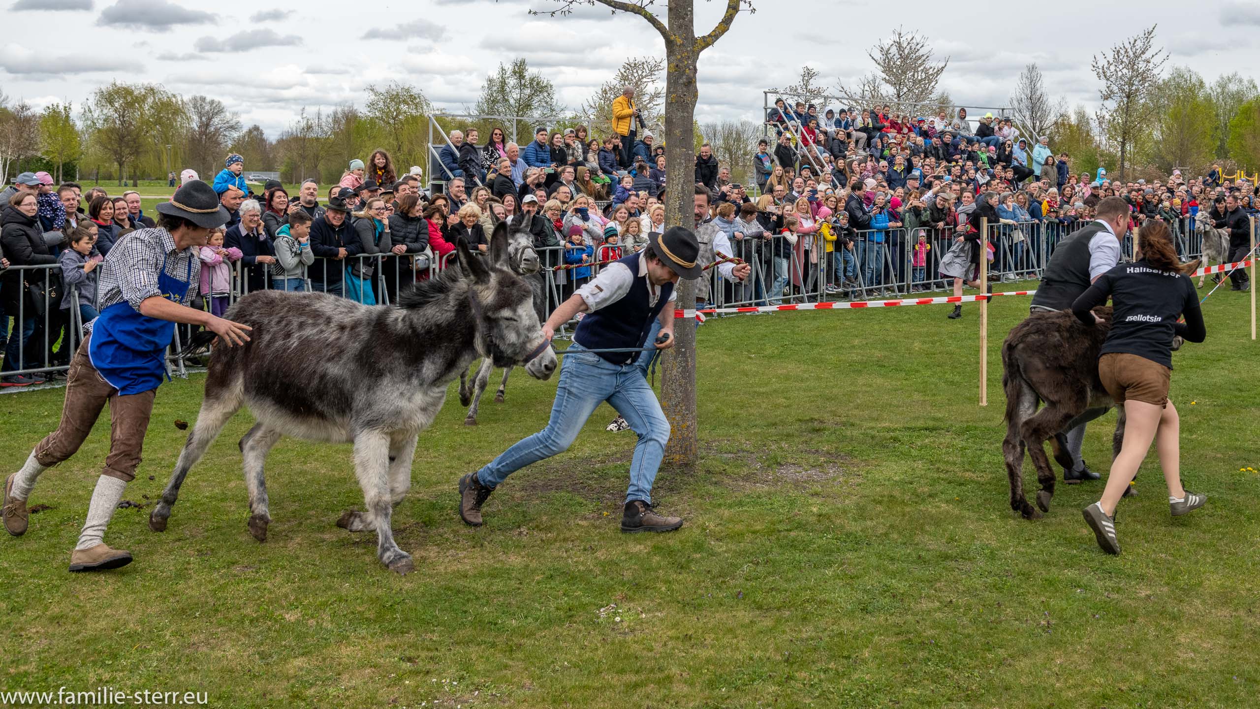 Eselrennen 2022