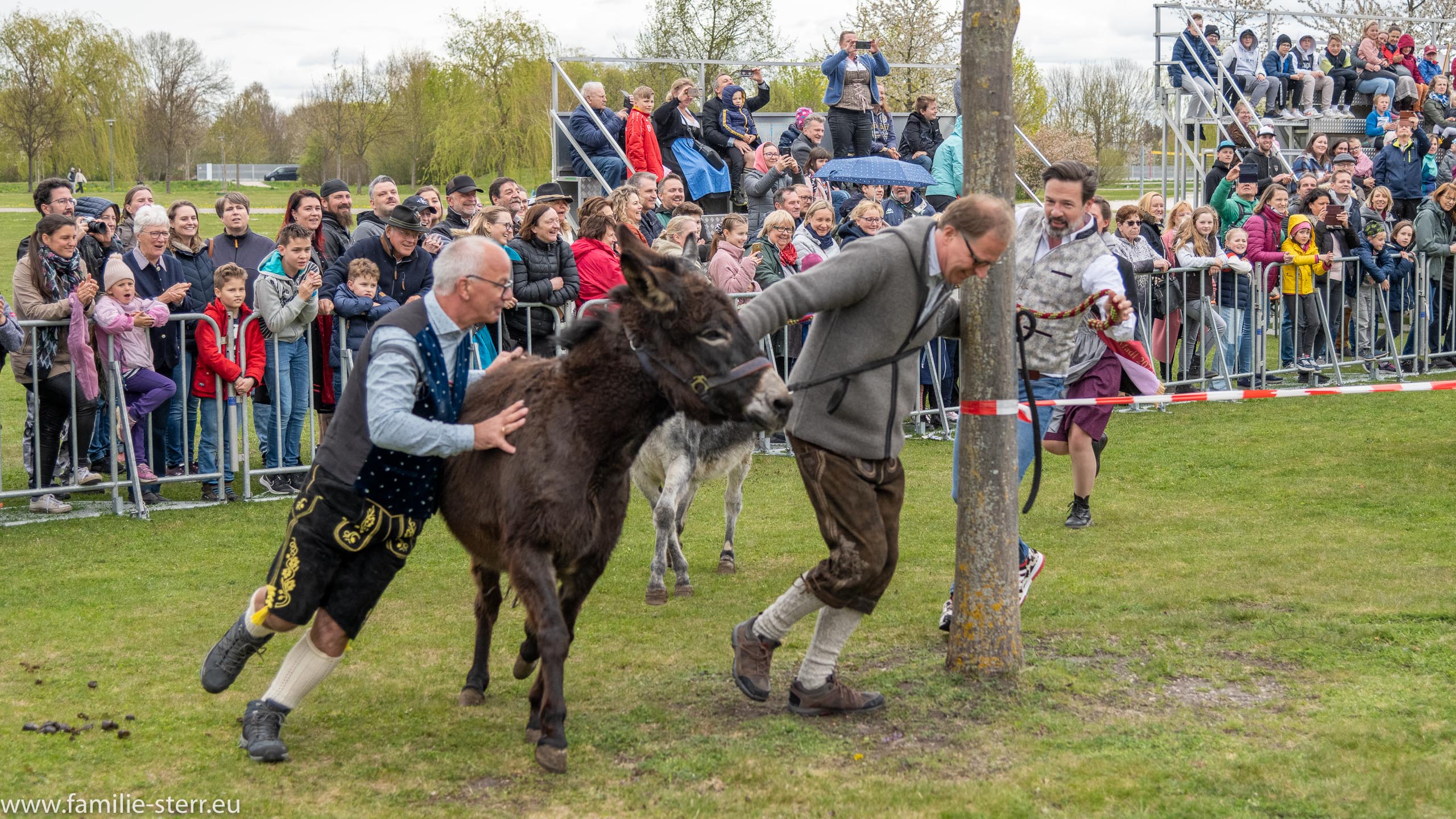 Eselrennen 2022