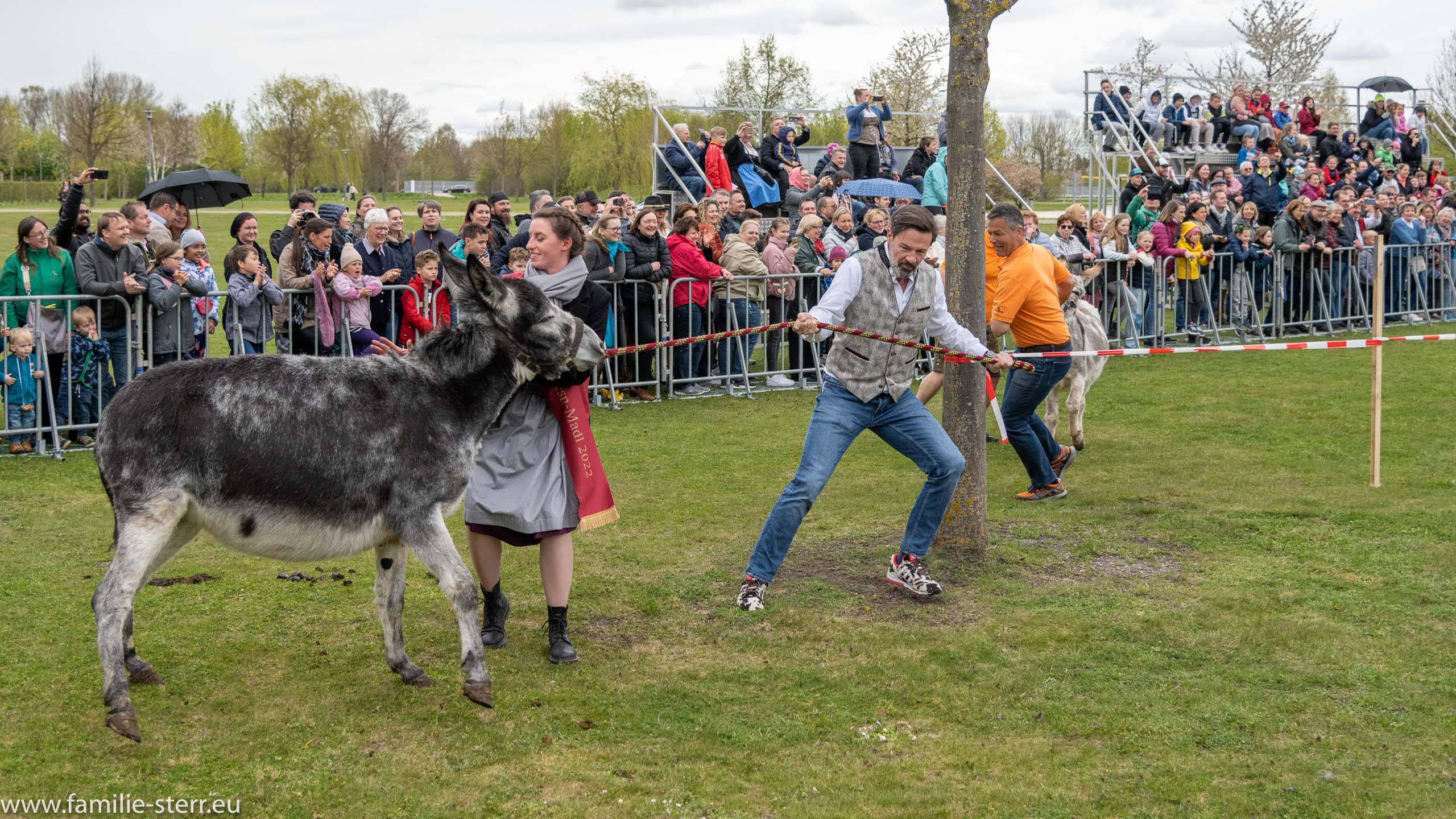 Eselrennen 2022