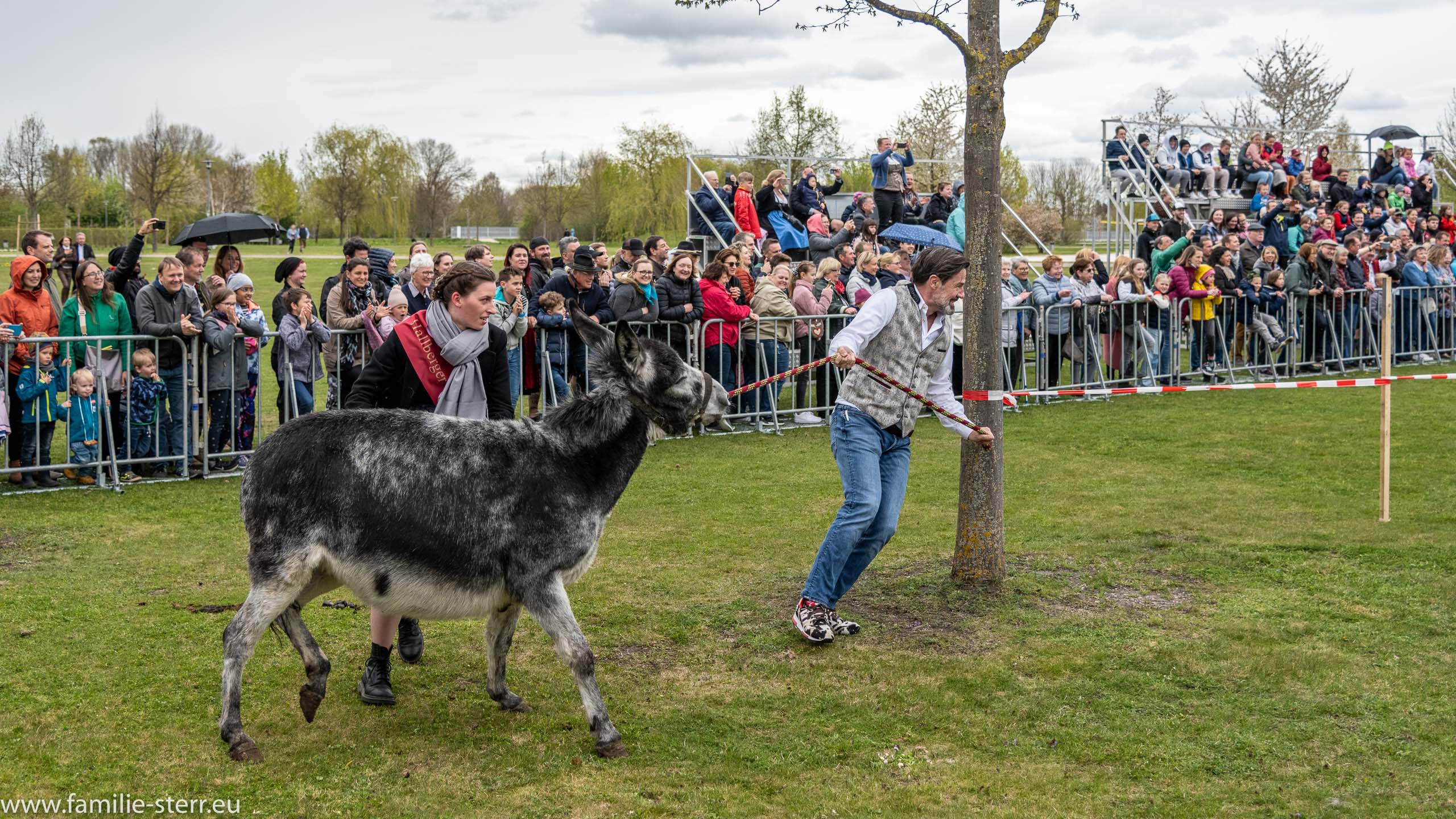 Eselrennen 2022