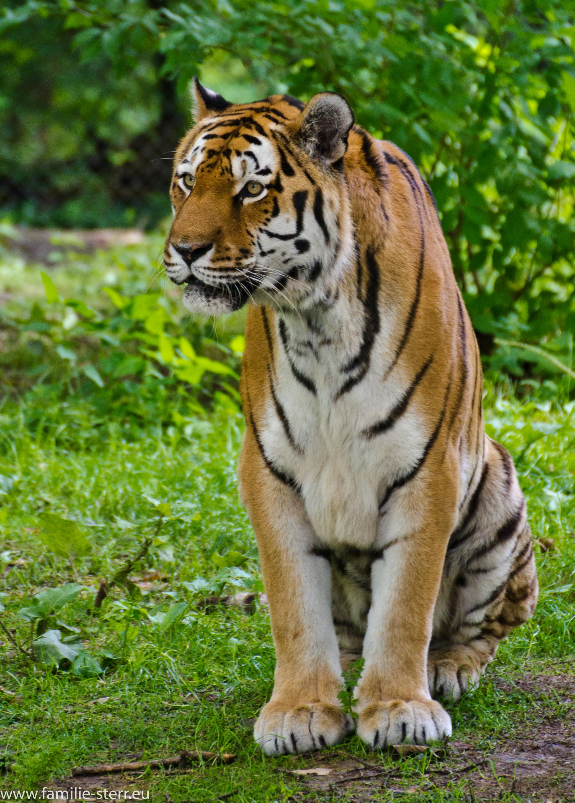 Hellabrunn