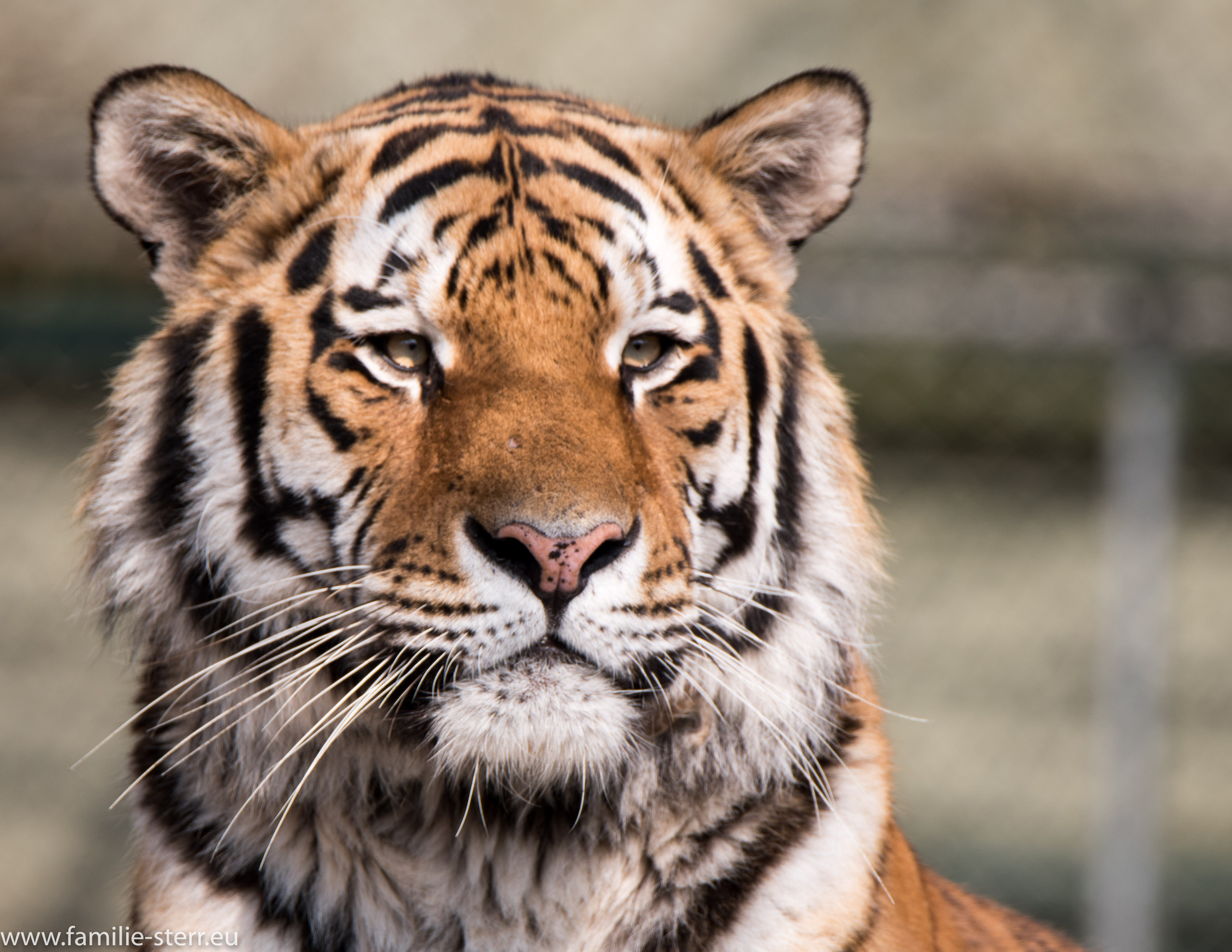 Tierpark Hellabrunn