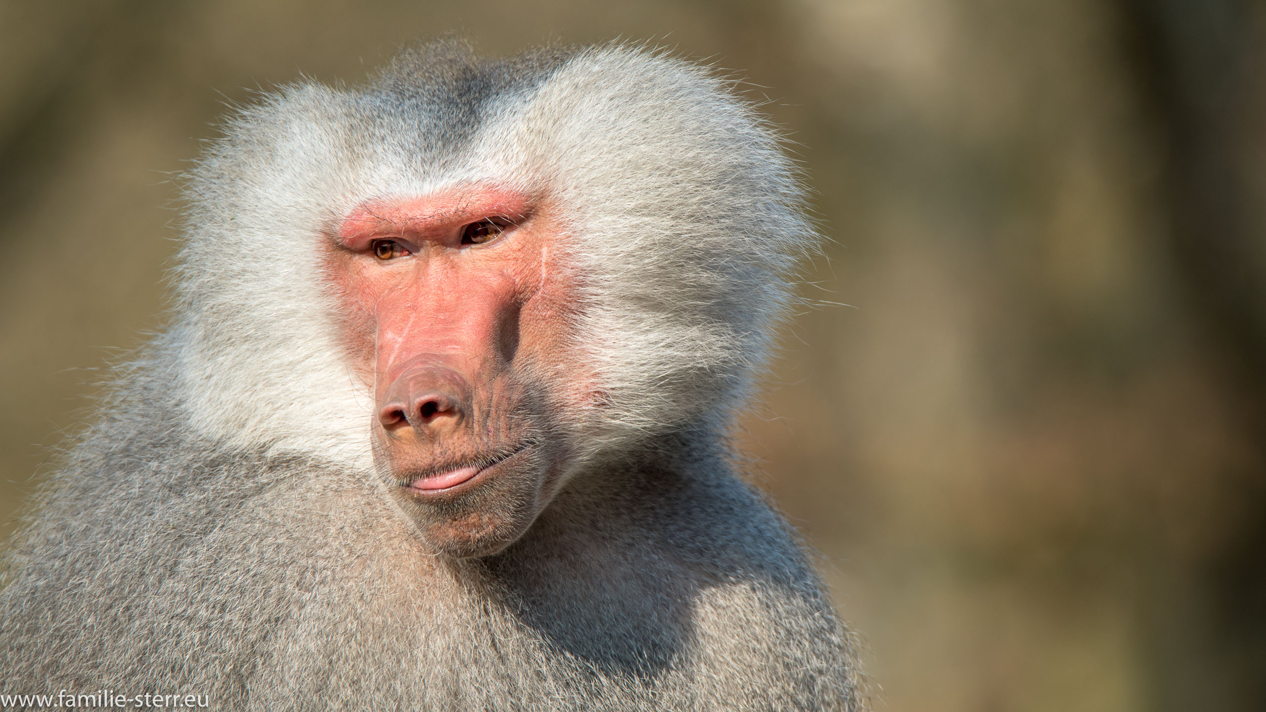 Tierpark Hellabrunn