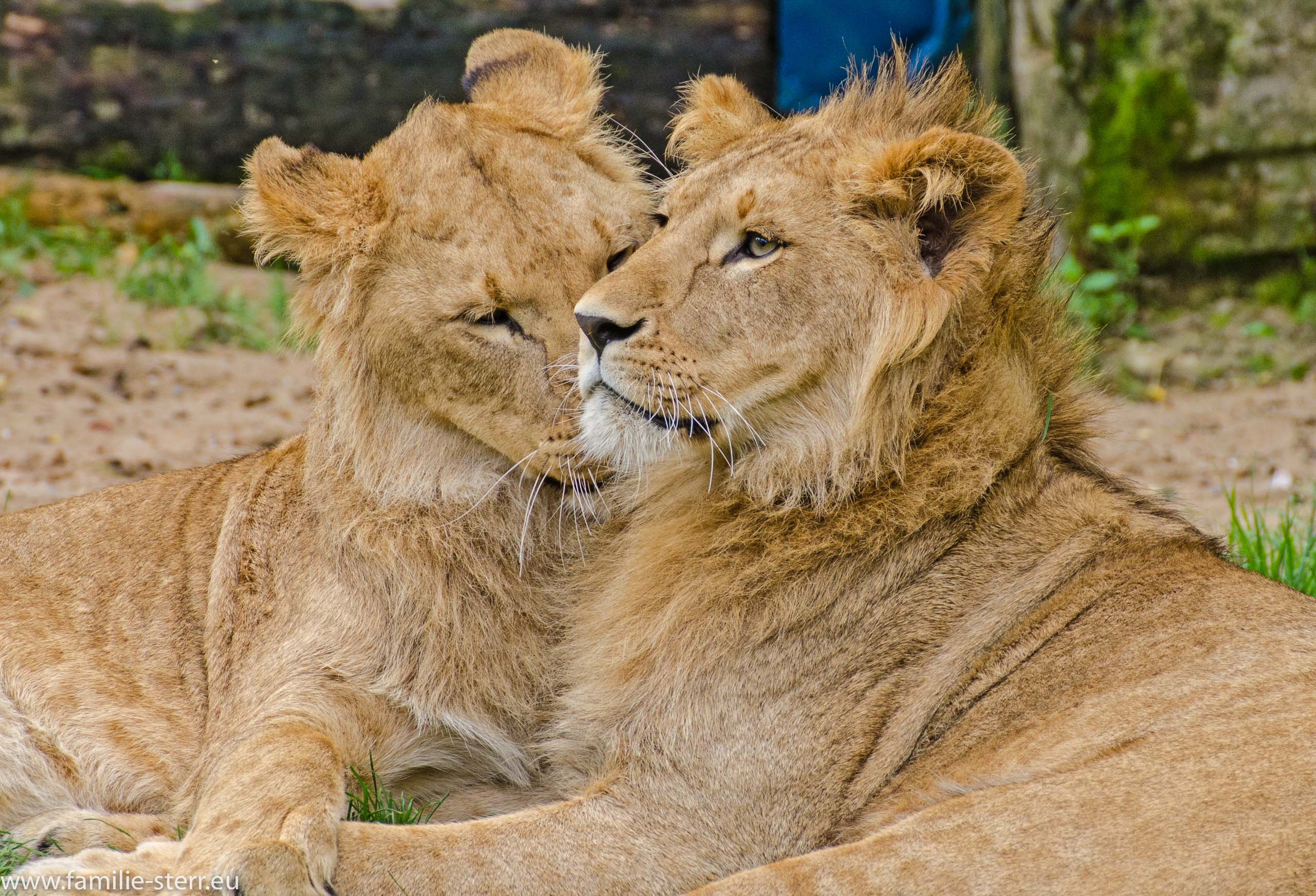 Tierpark Hellabrunn