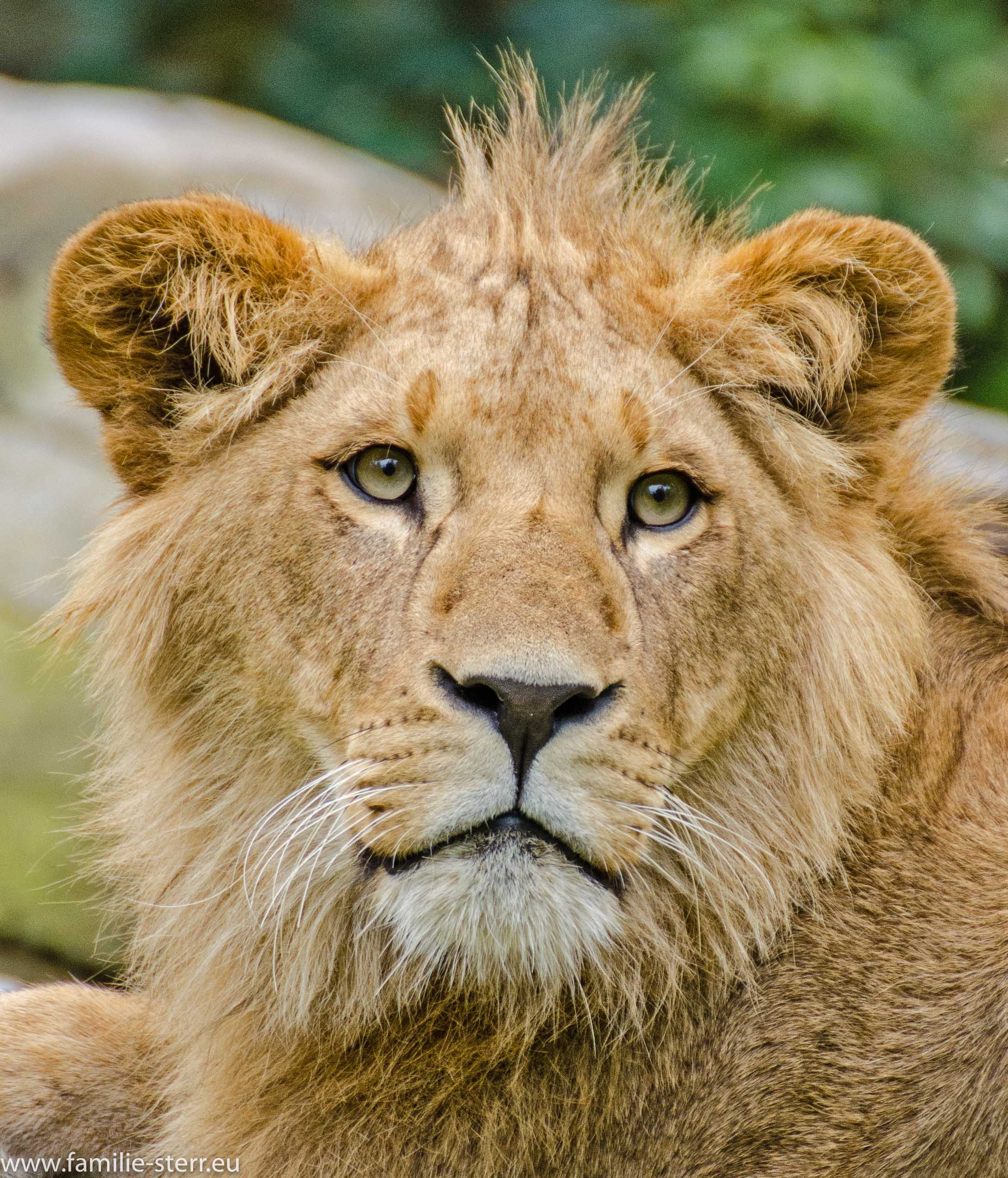 Tierpark Hellabrunn