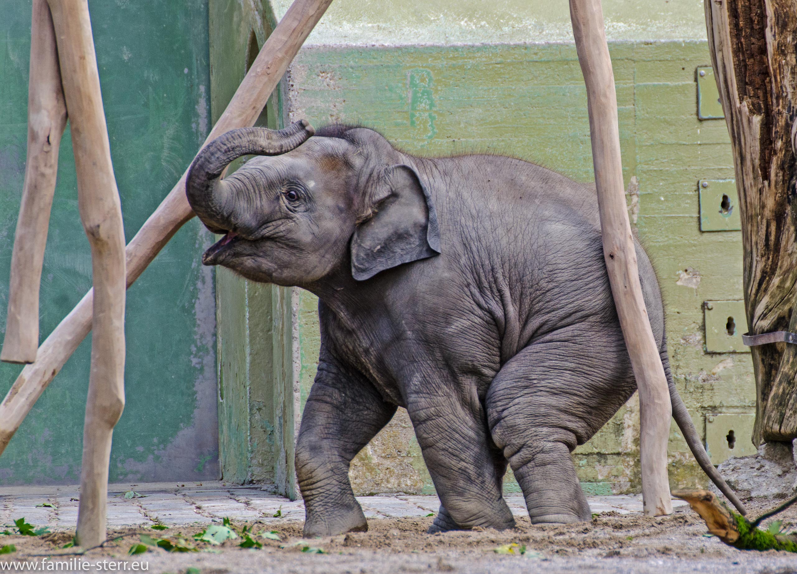 Tierpark Hellabrunn