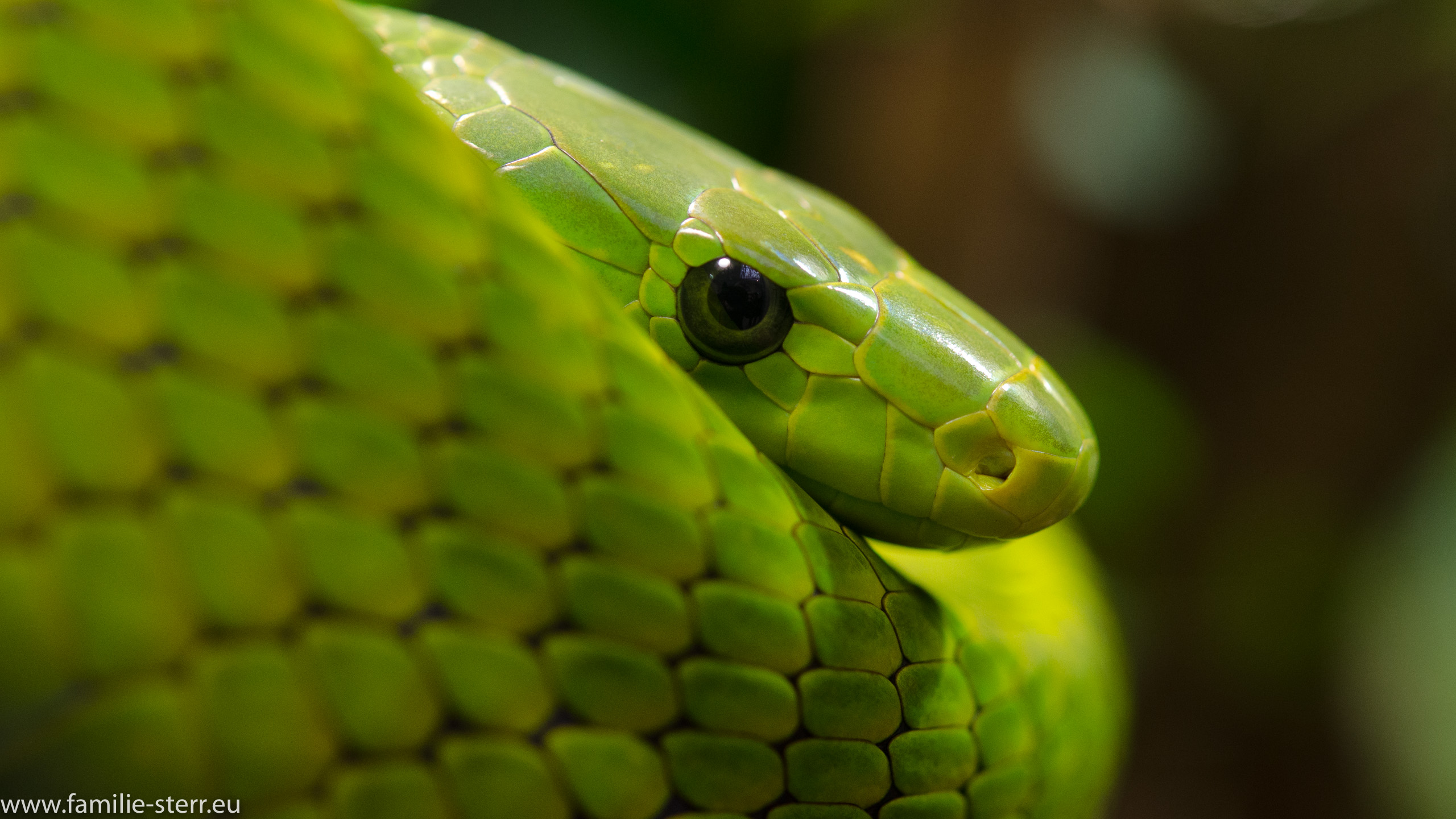 Tierpark Hellabrunn