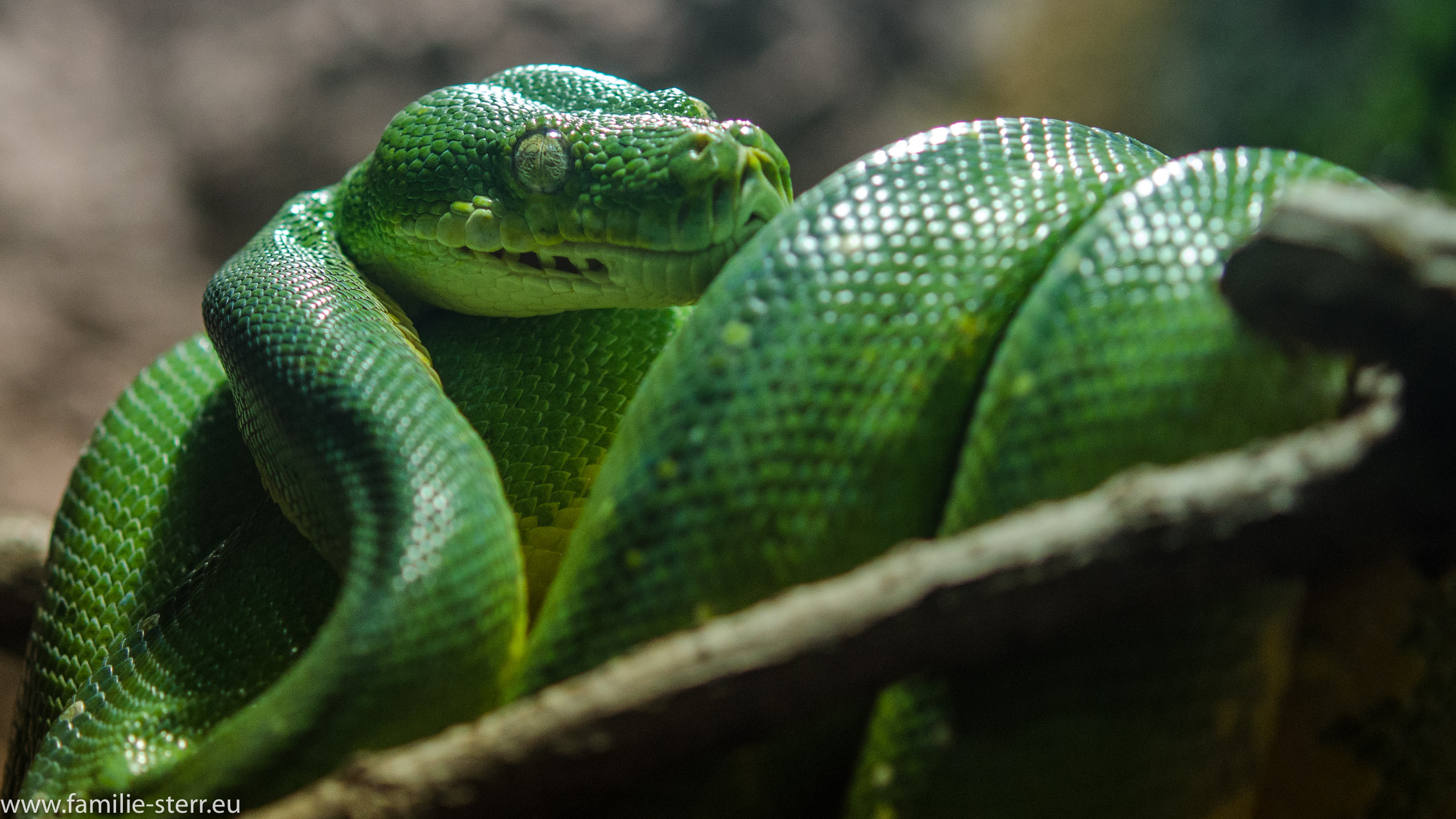 Tierpark Hellabrunn