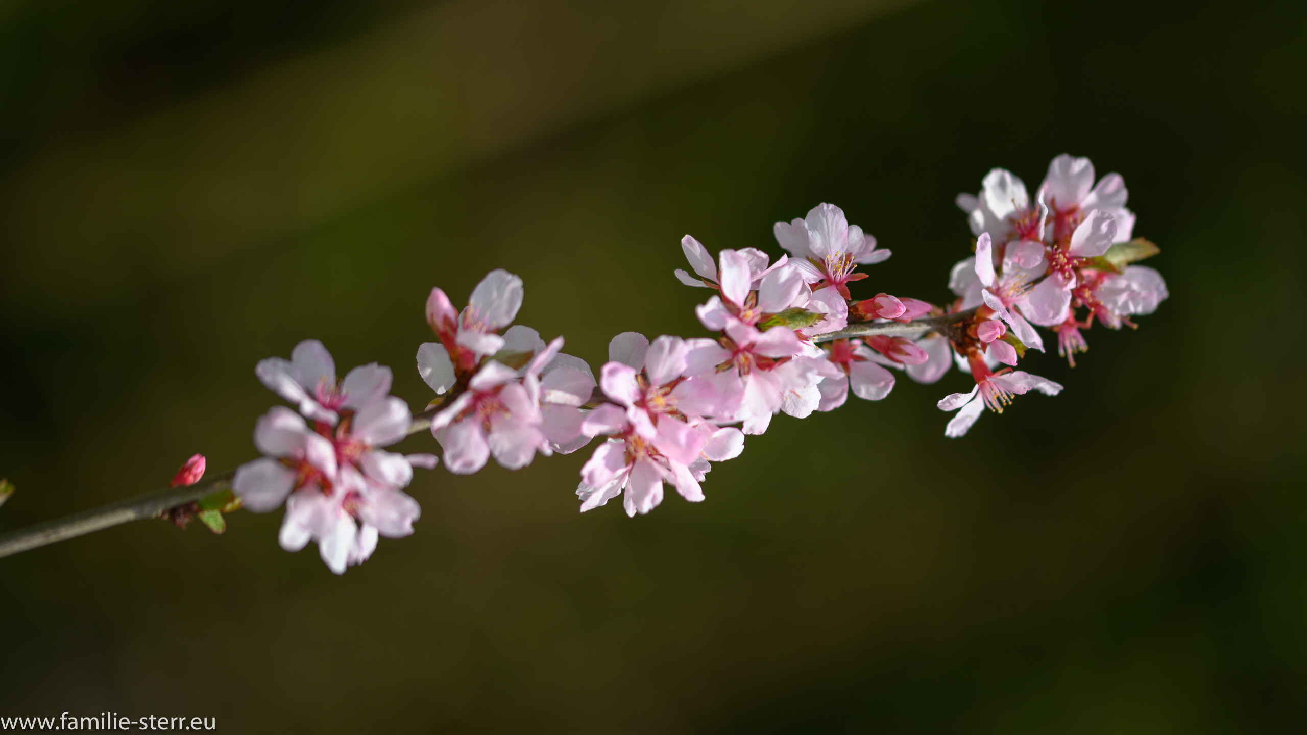 Sichtungsgarten Freising / Weihenstephan