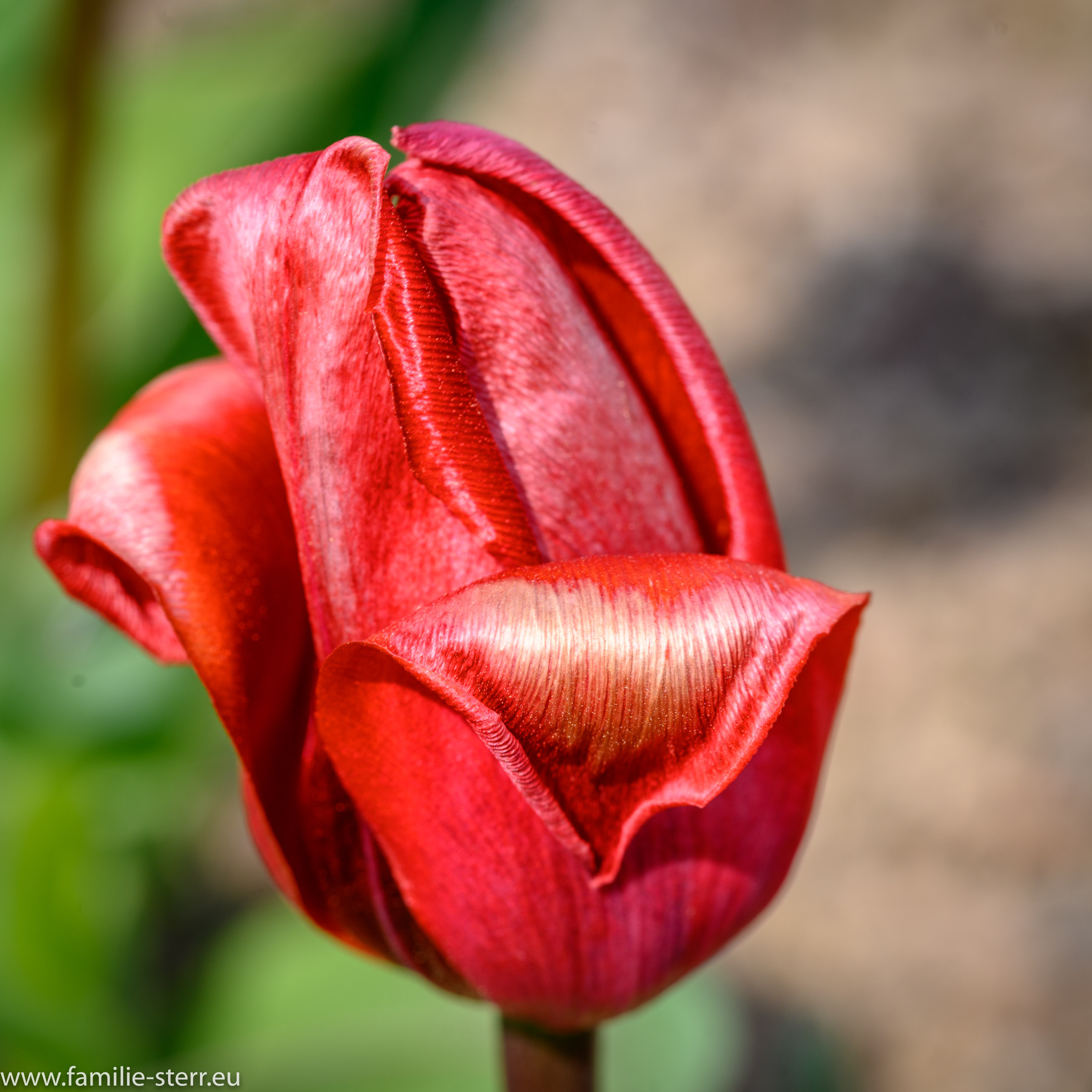 Sichtungsgarten Freising / Weihenstephan