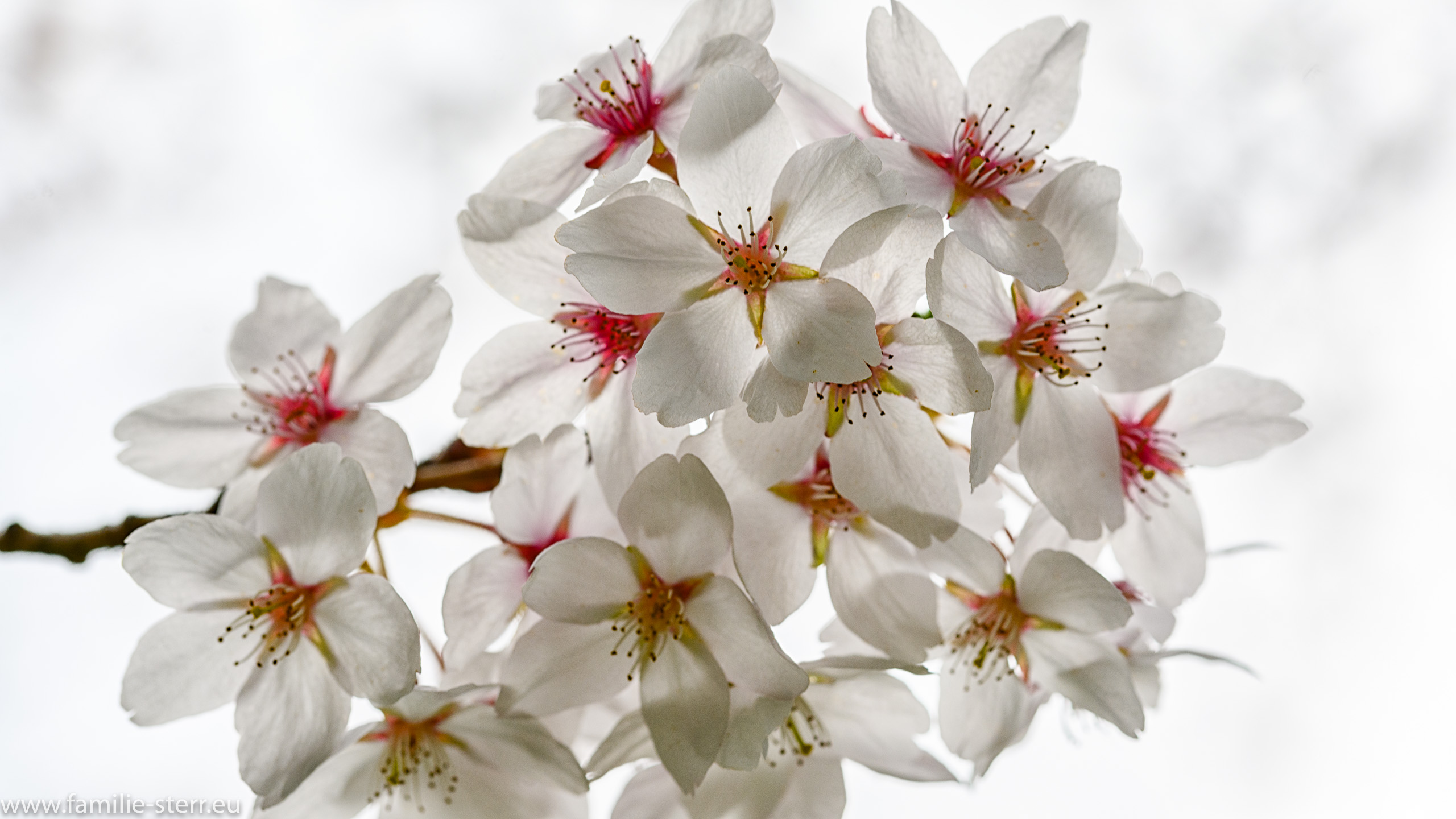 Sichtungsgarten Freising / Weihenstephan