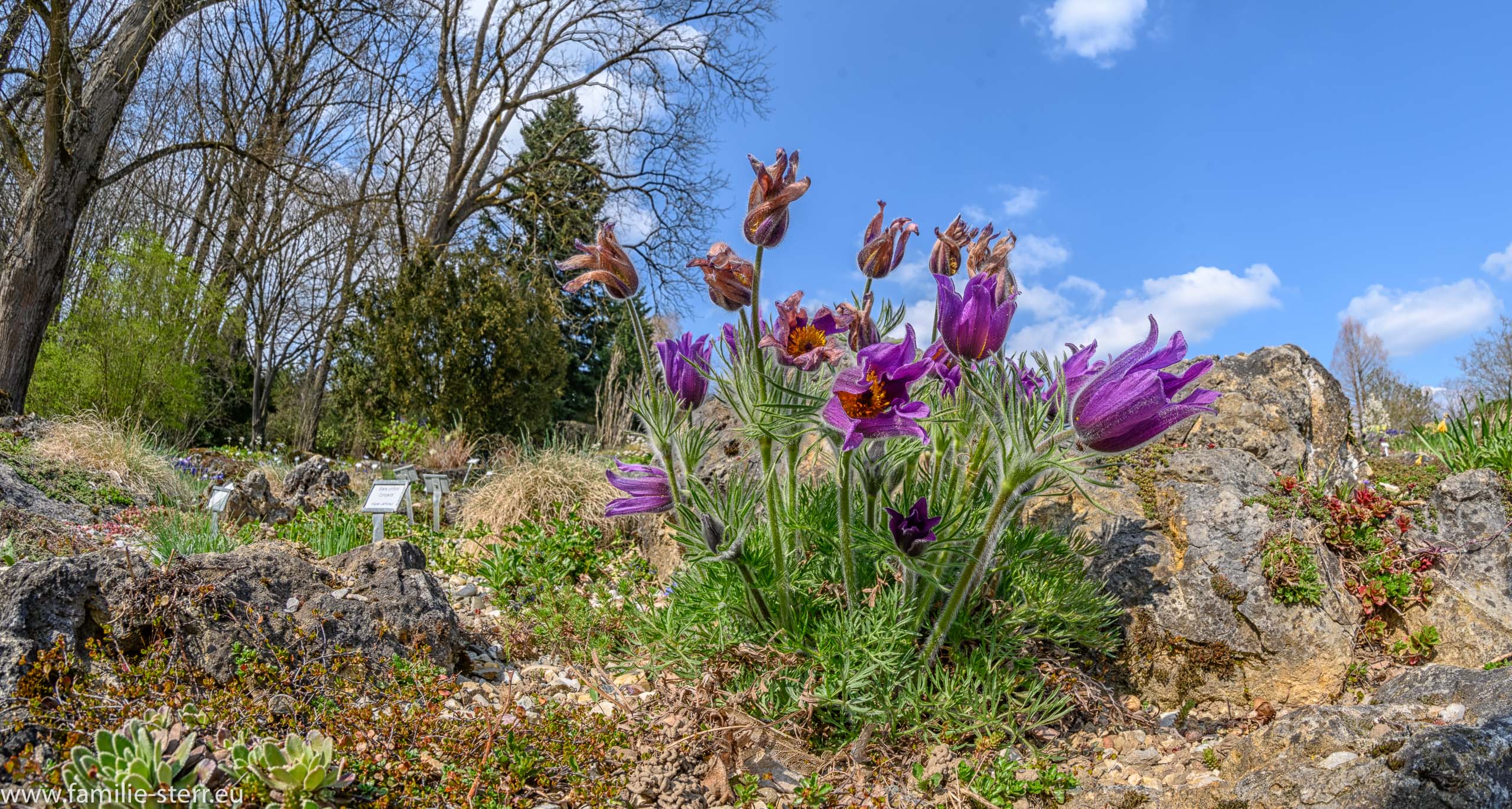 Sichtungsgarten Freising / Weihenstephan