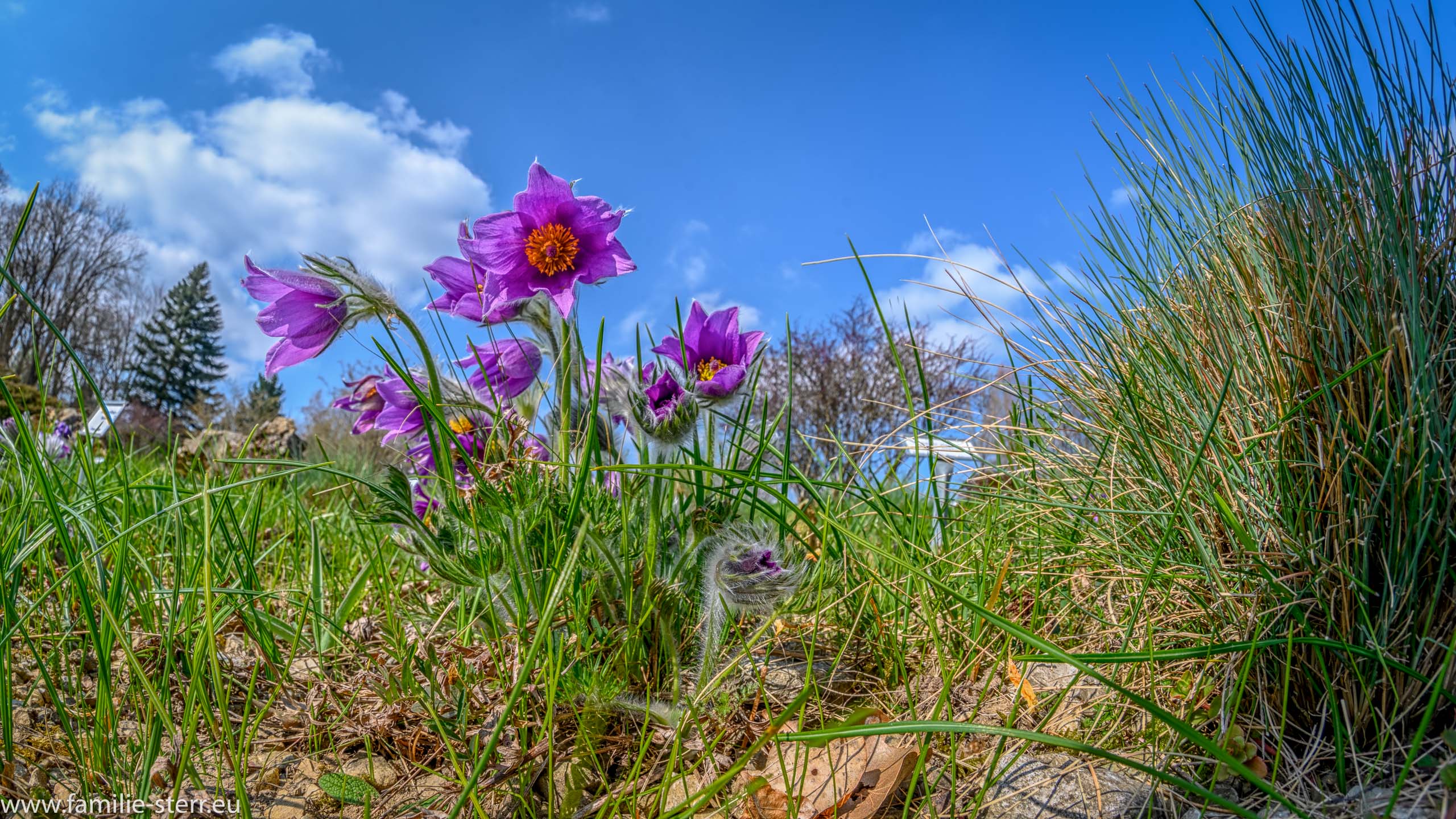 Sichtungsgarten Freising / Weihenstephan