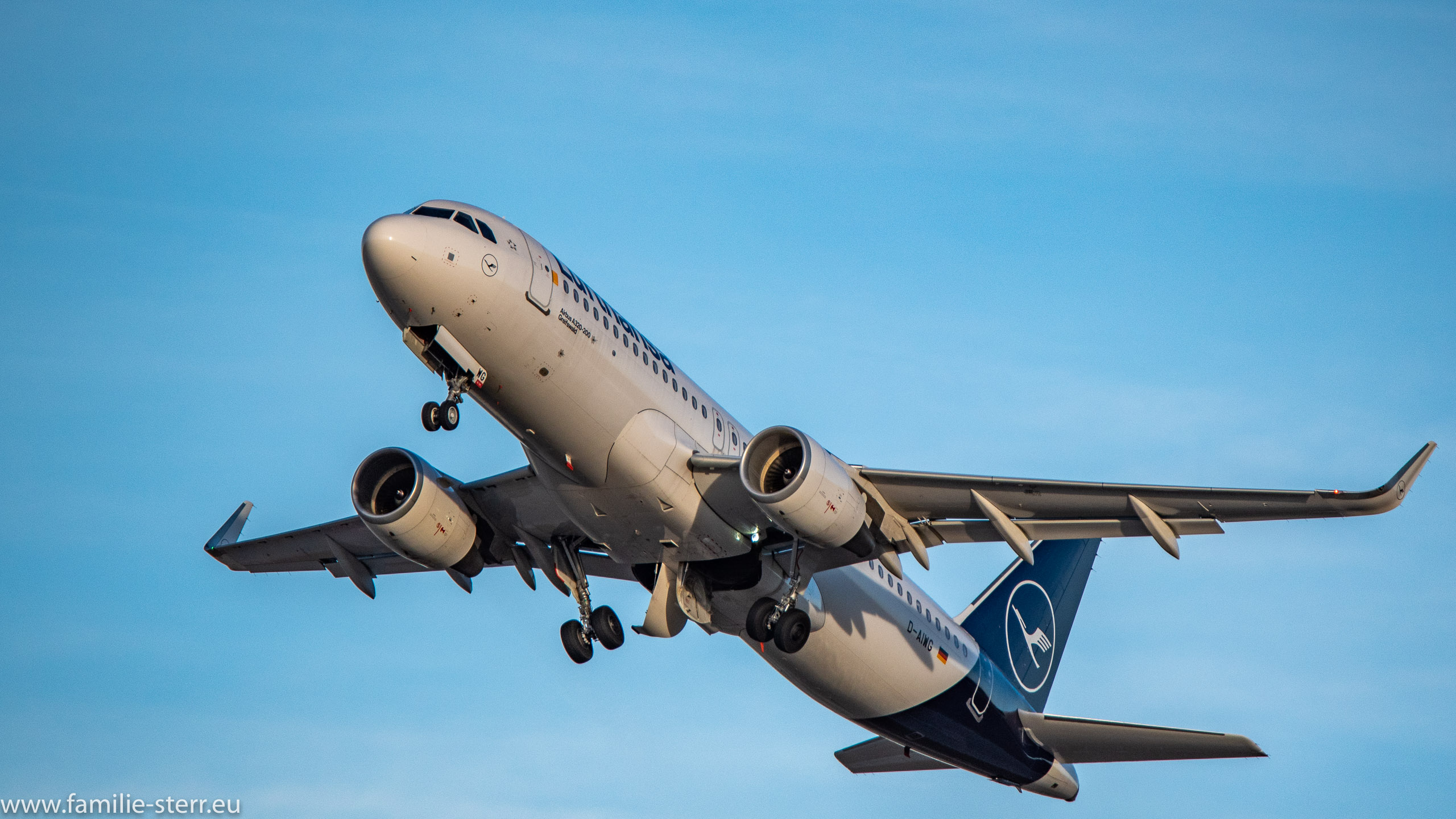 D-AIWG
