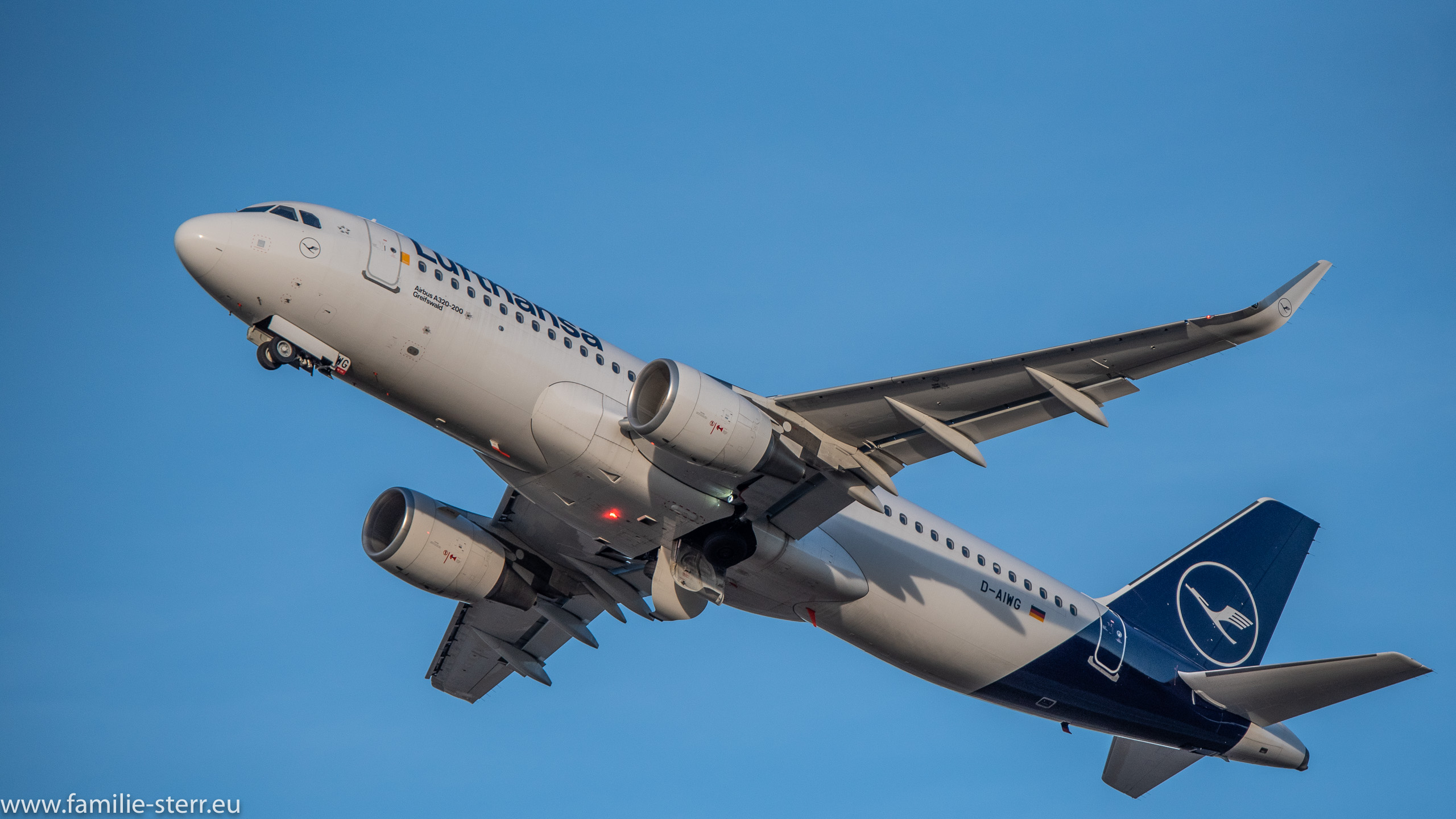 D-AIWG