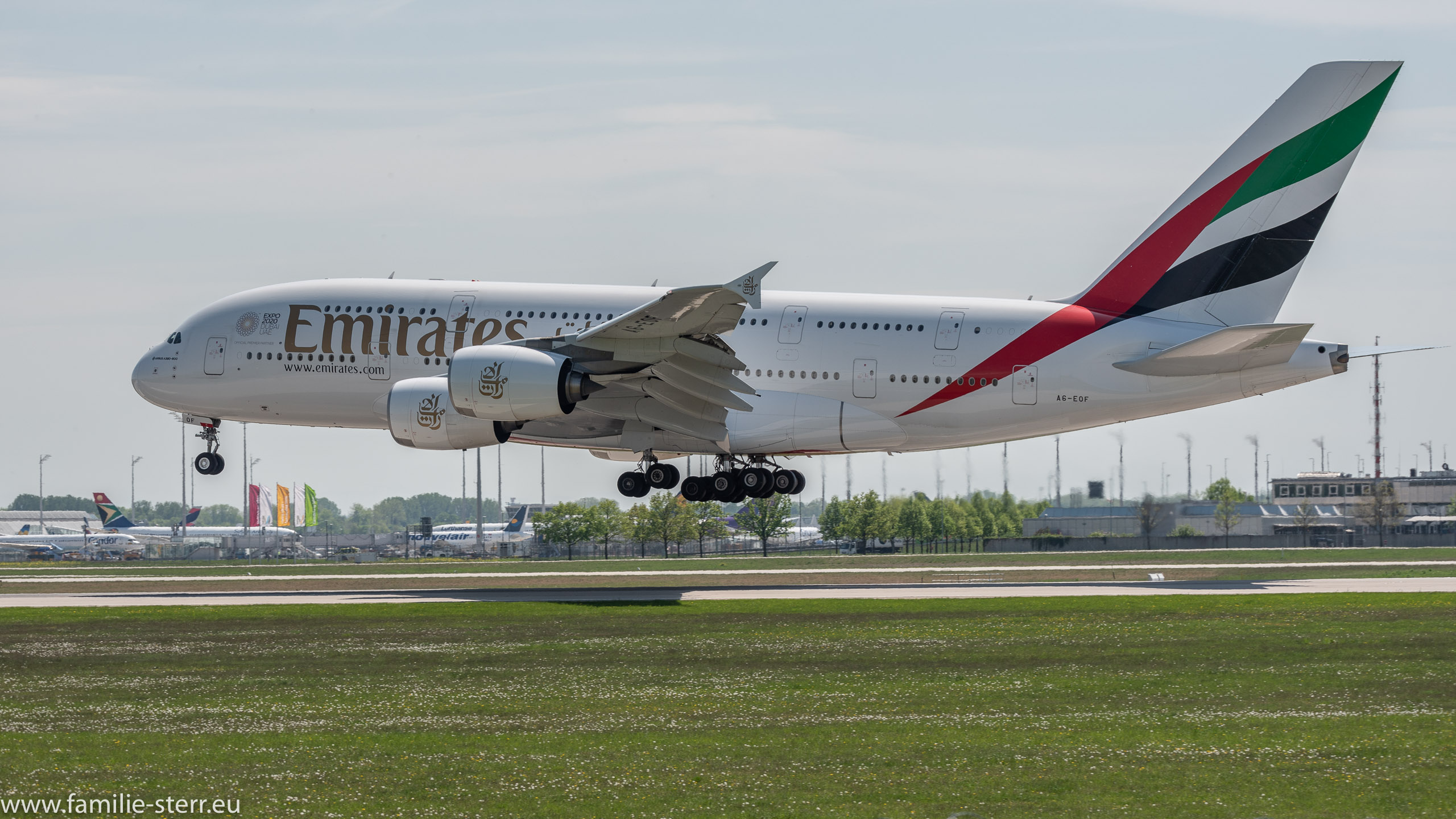 A6-EDF