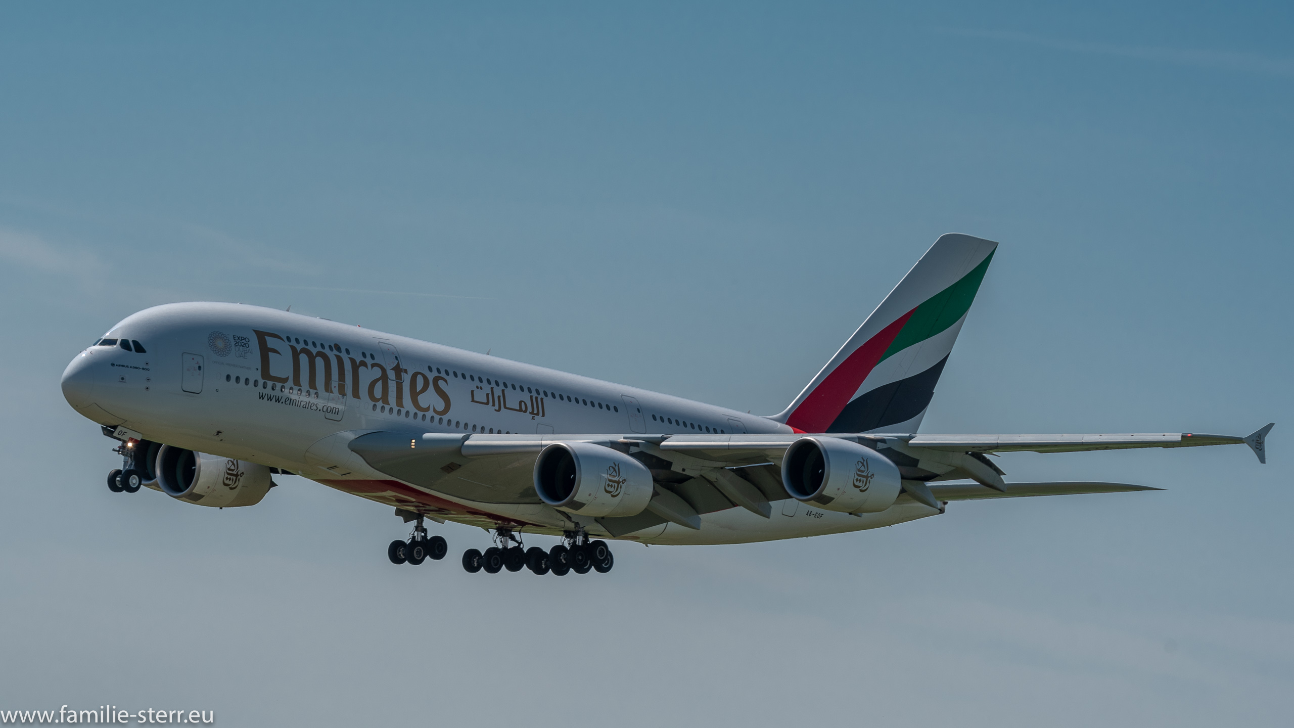 A6-EDF