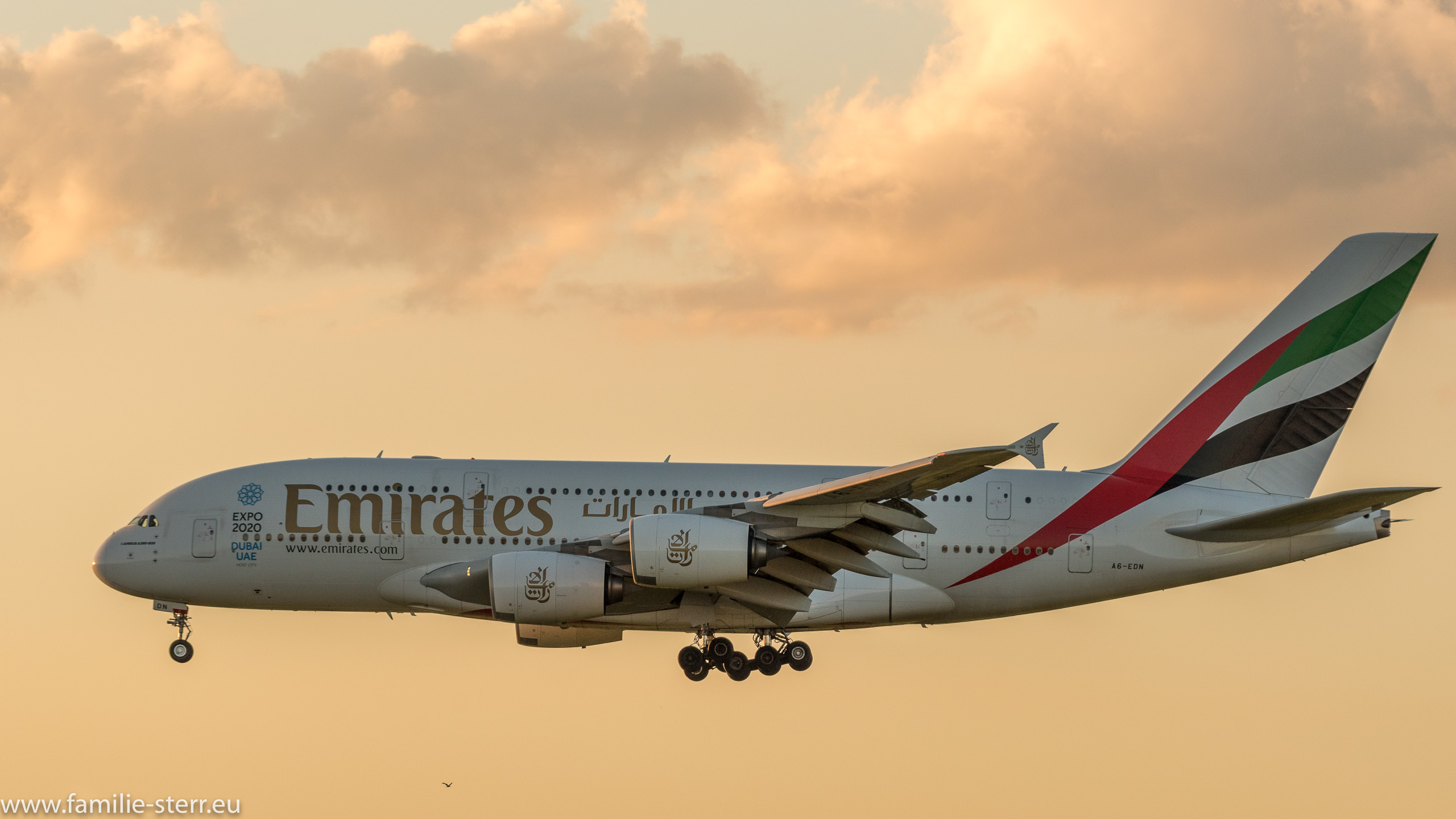 A6-EDN