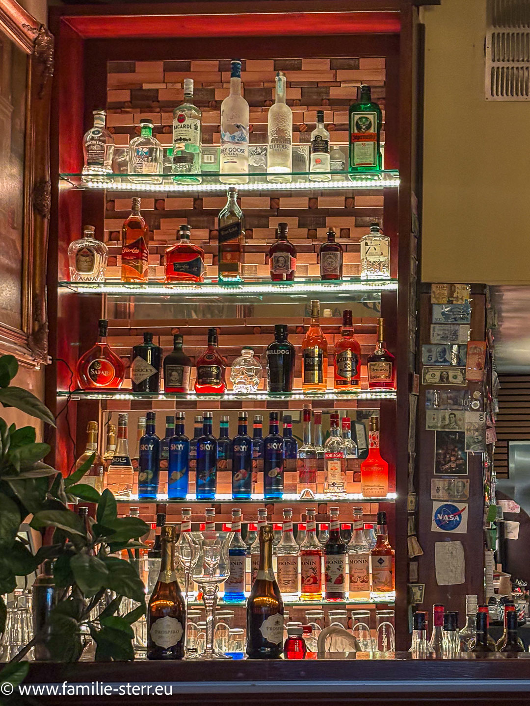 Cuddle Pub Amsterdam