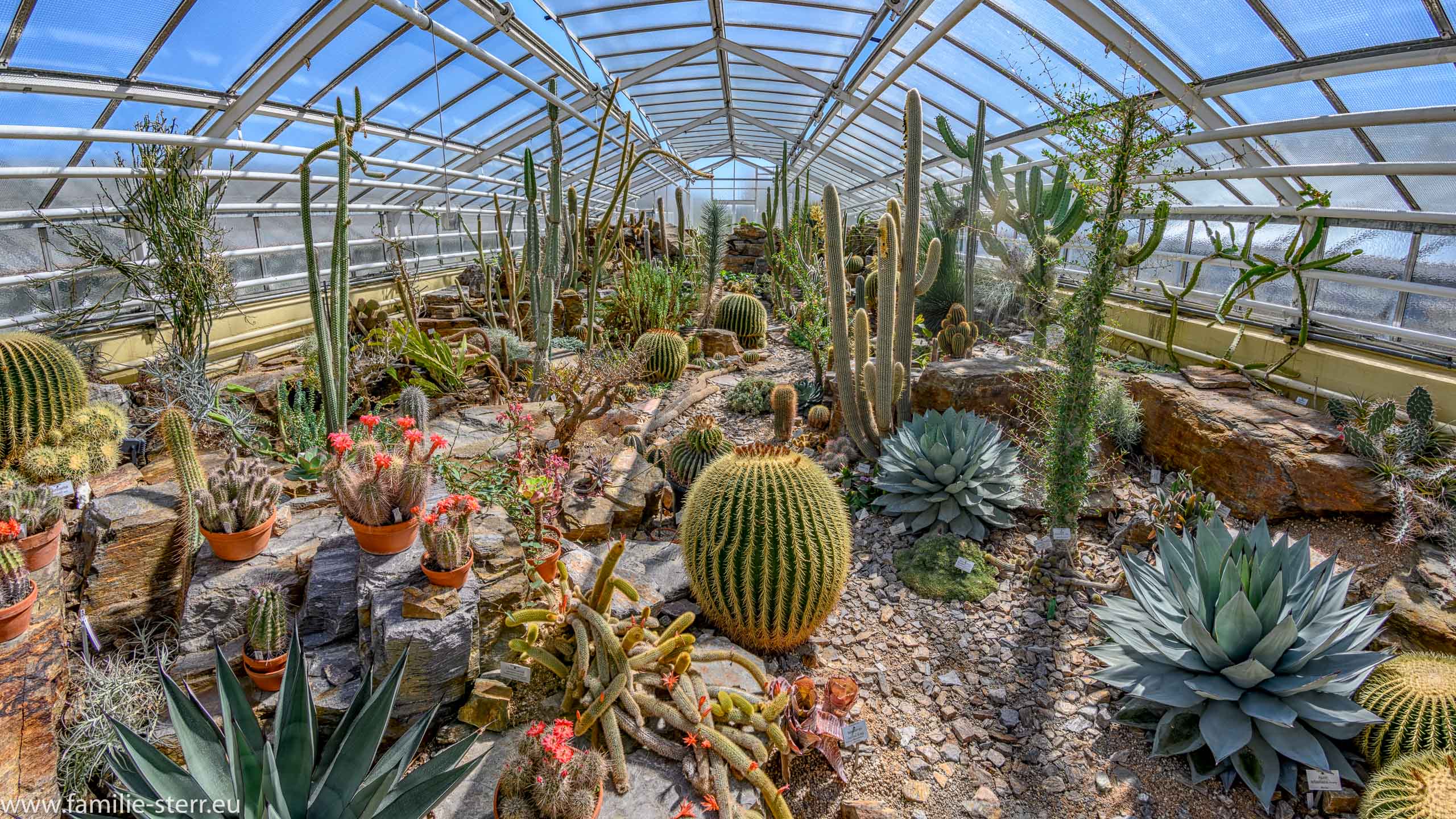 Botarnischer Garten München