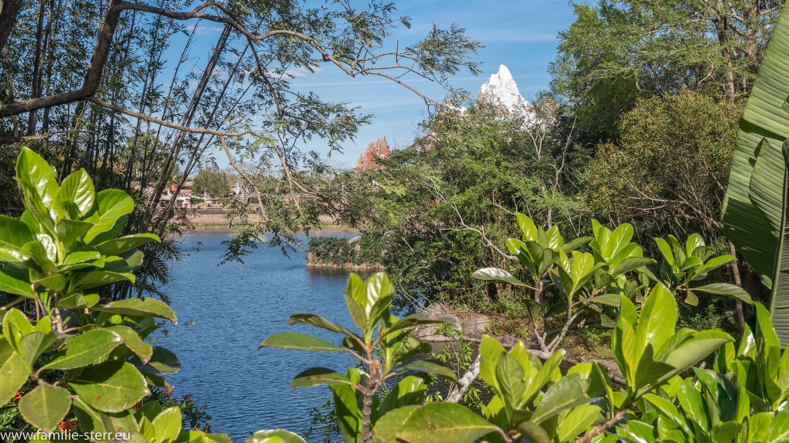 Animal Kingdom