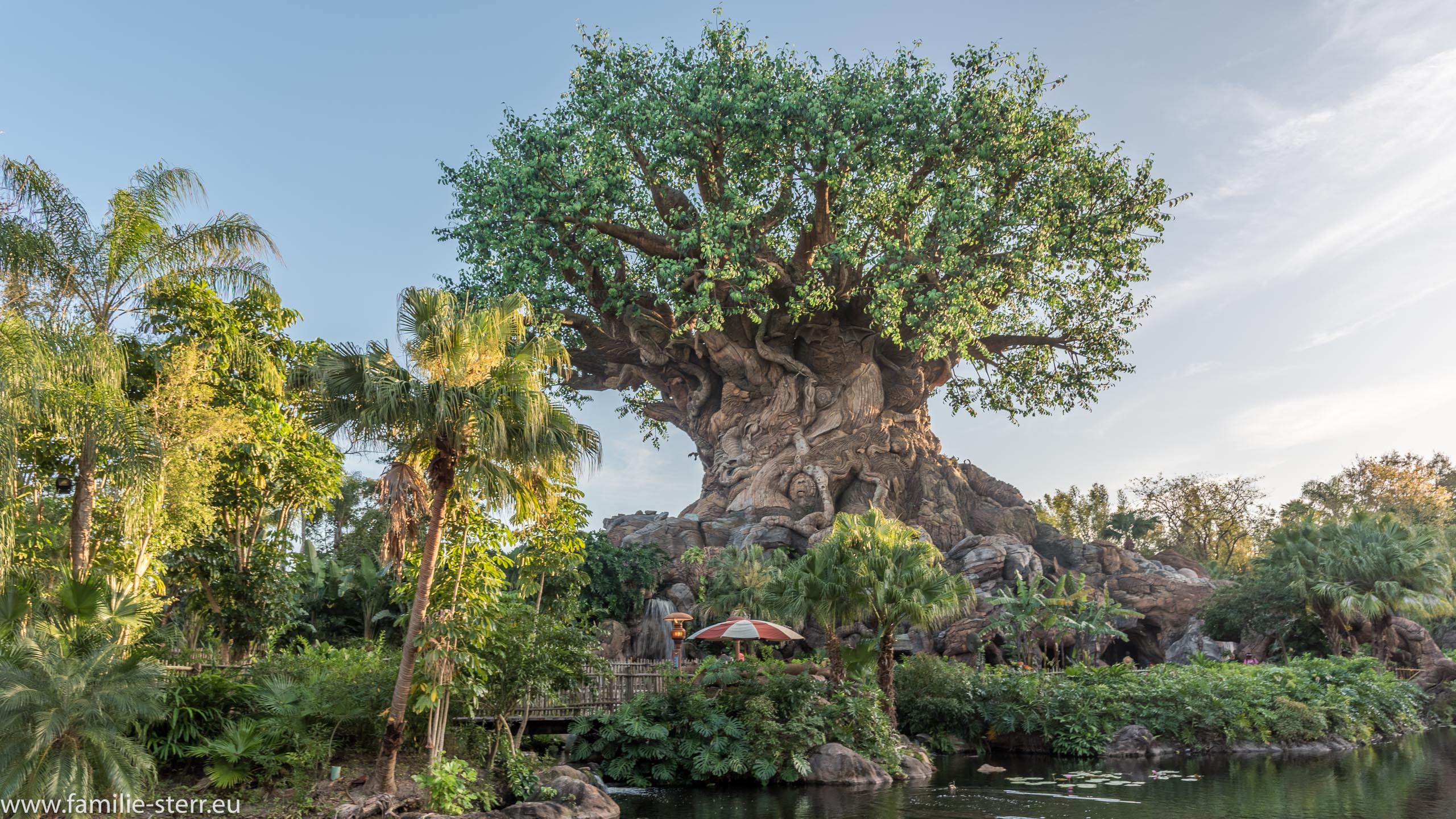 Animal Kingdom