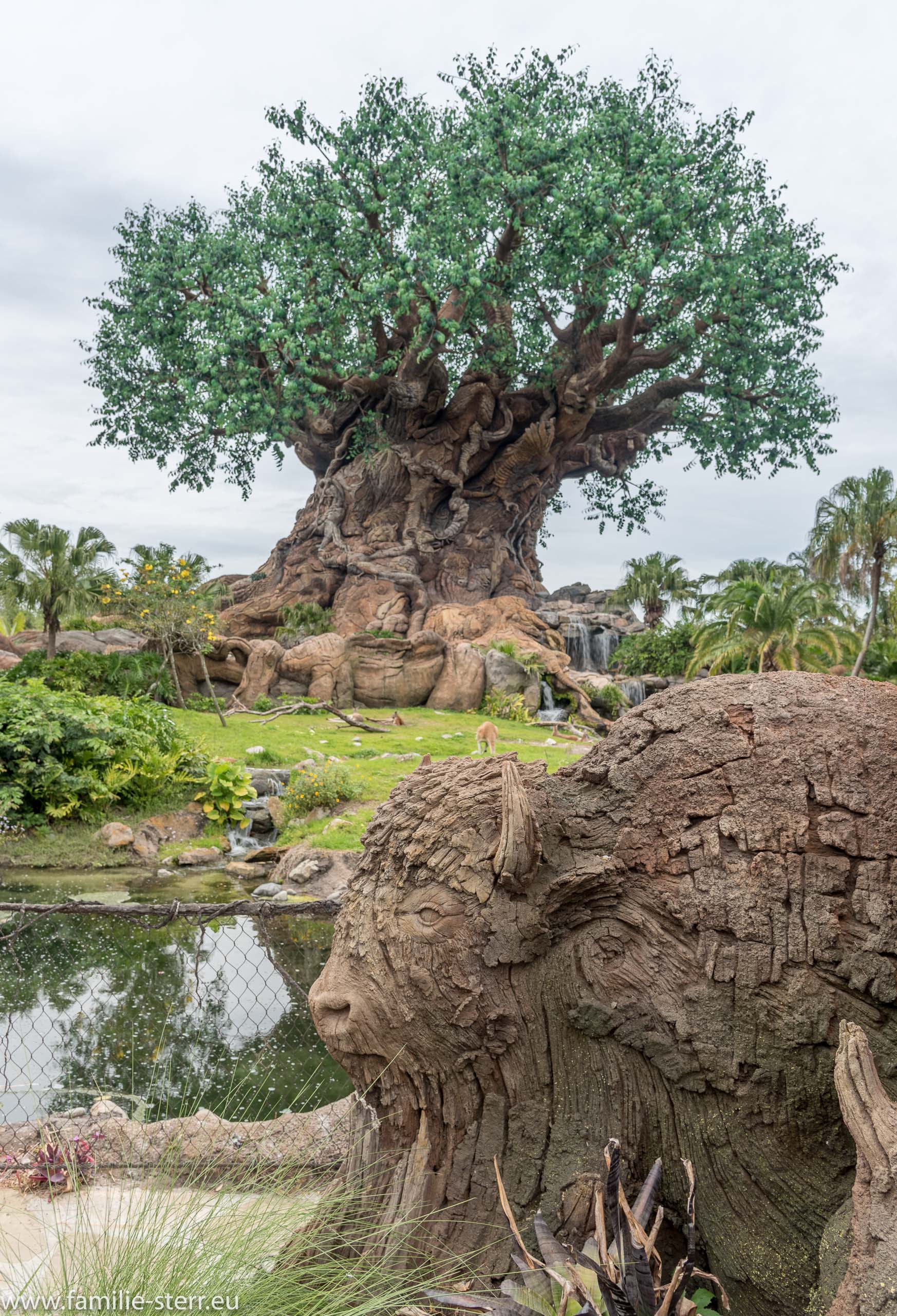 Animal Kingdom