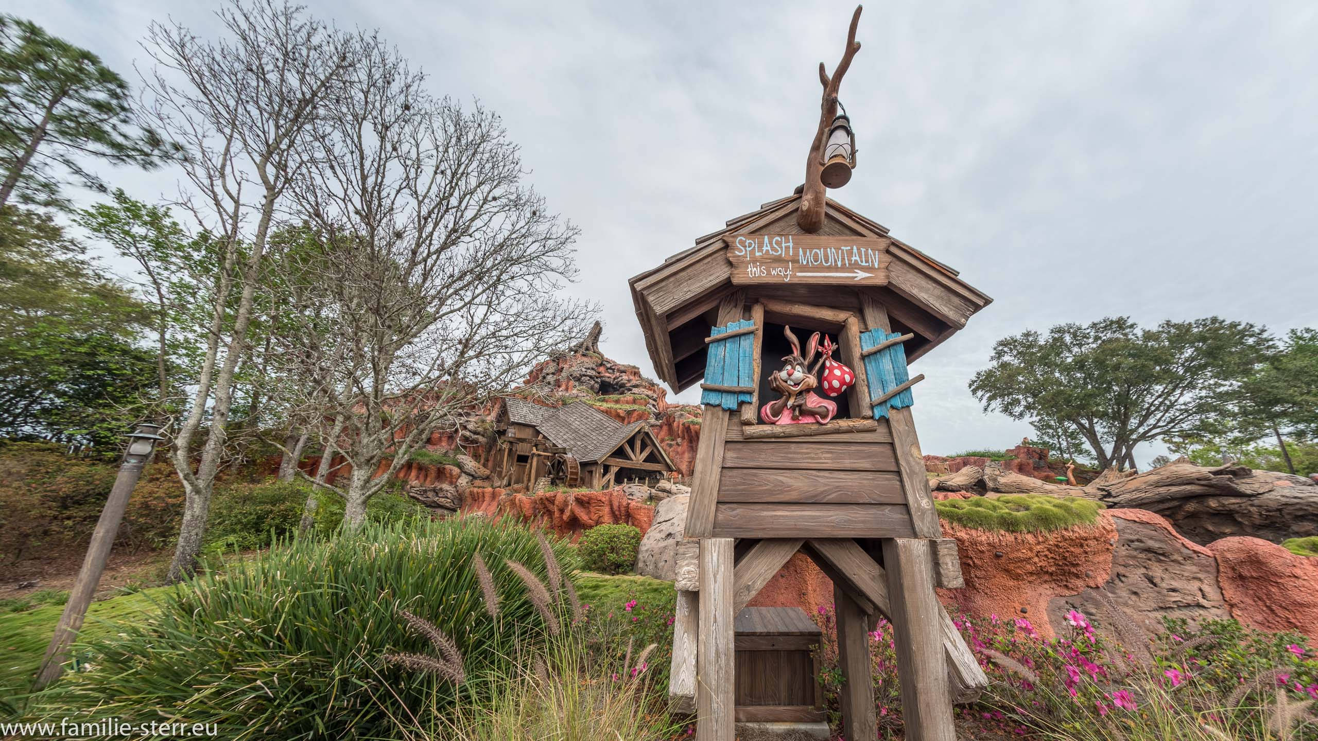Magic Kingdom