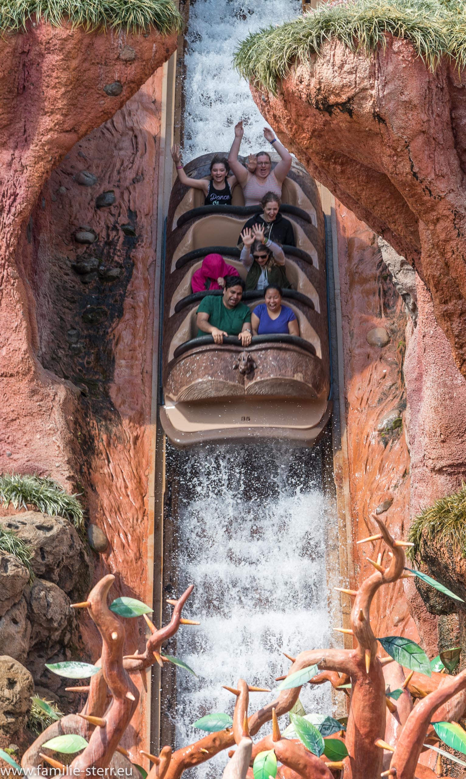 Magic Kingdom