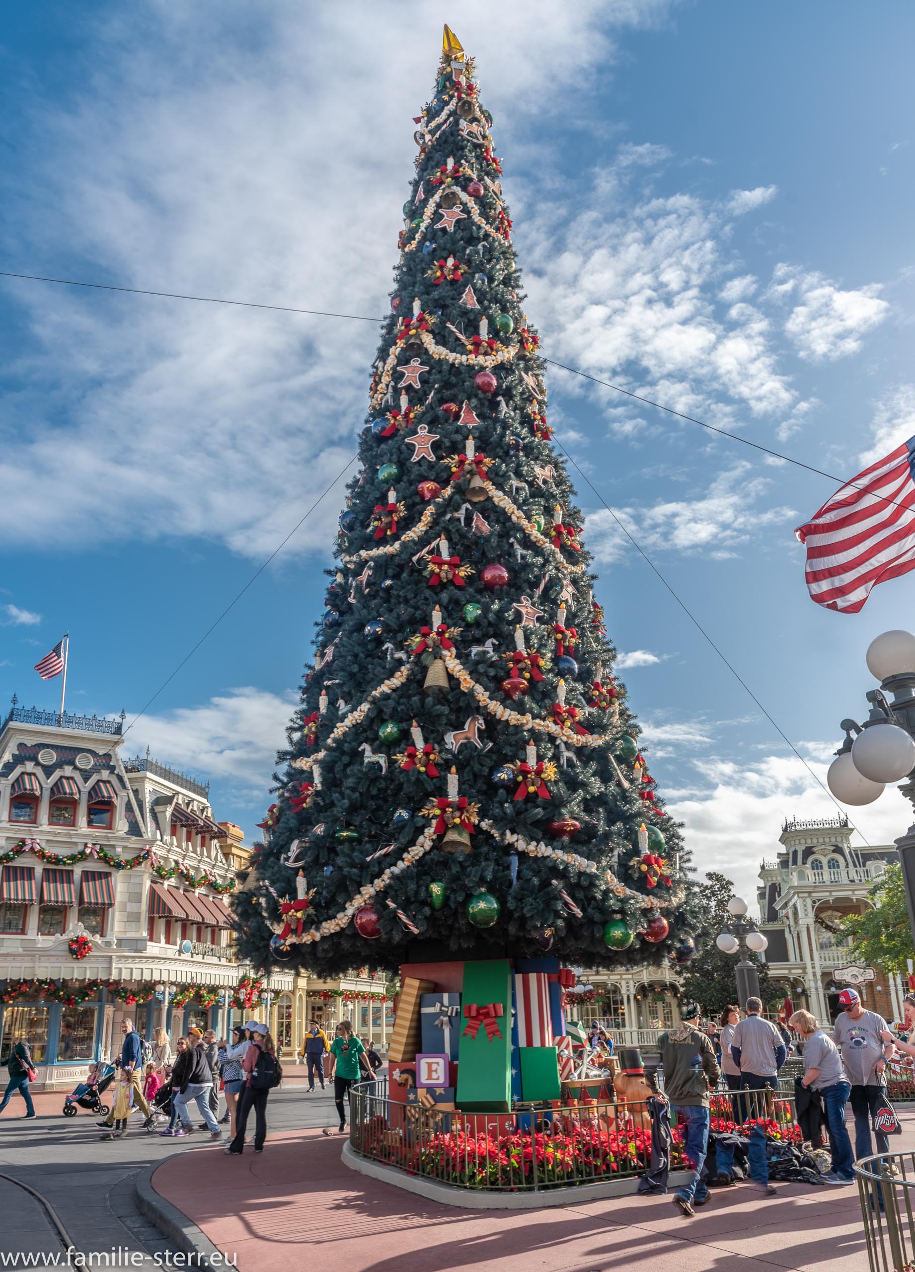Magic Kingdom 116