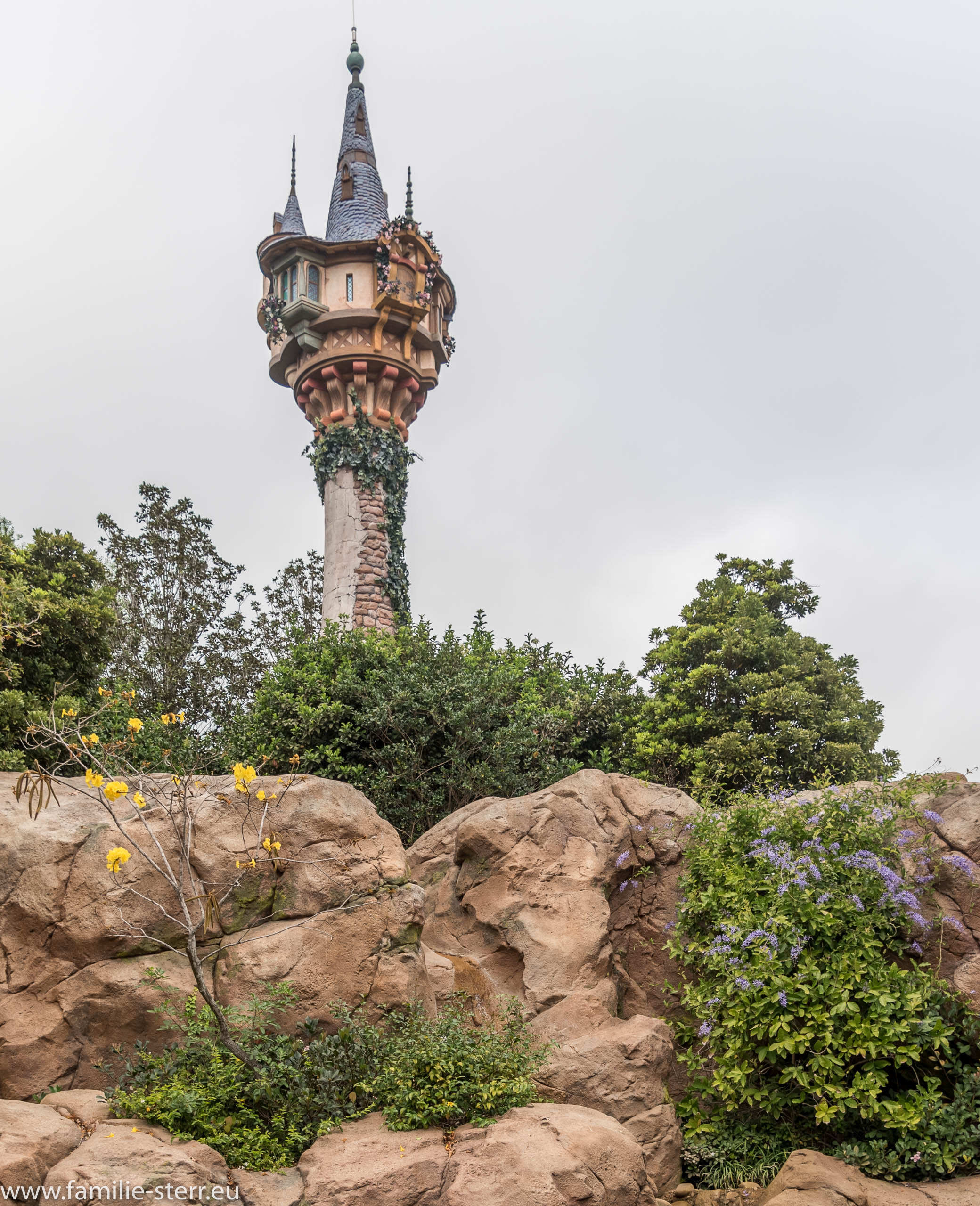 Magic Kingdom