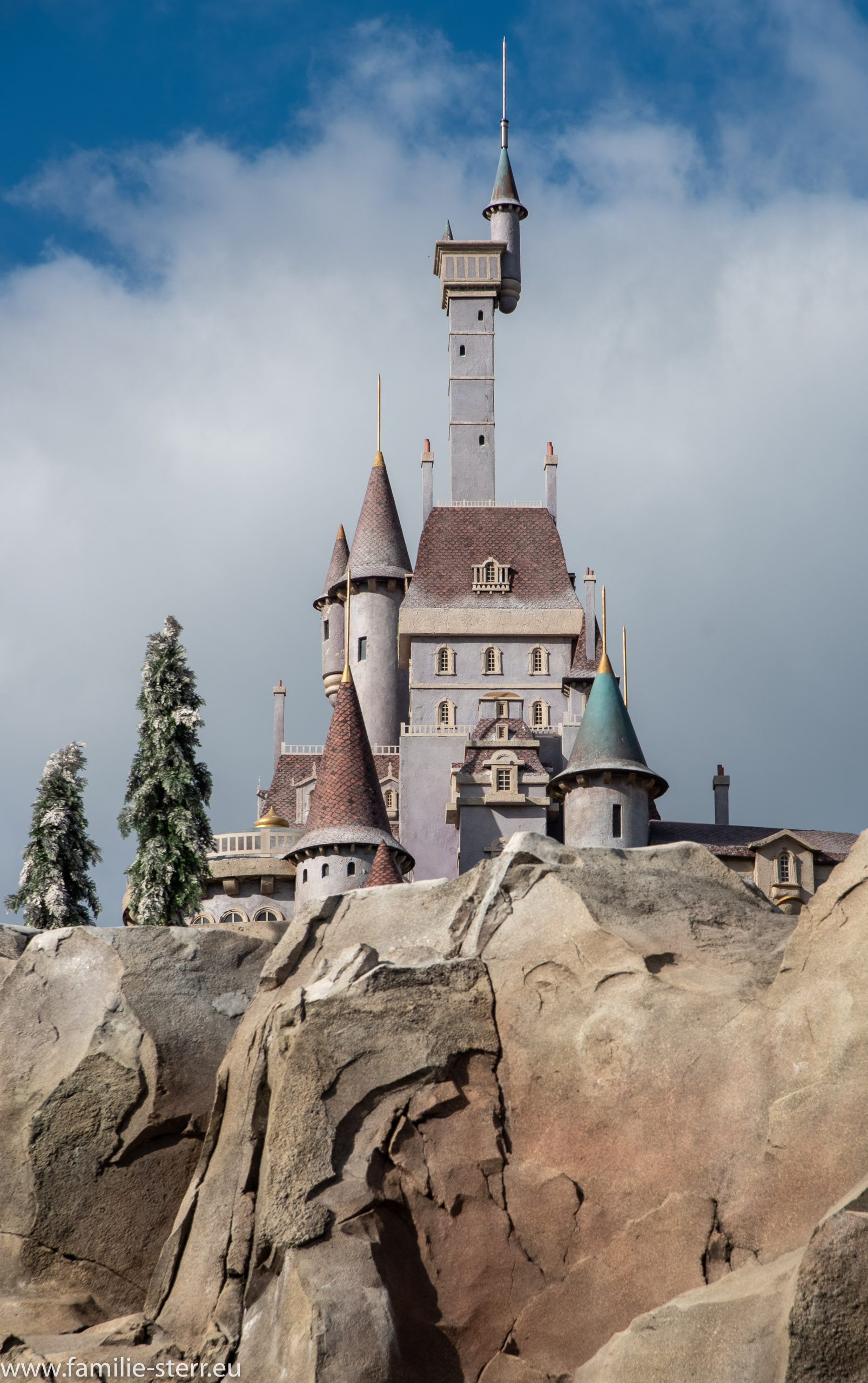 Magic Kingdom 201