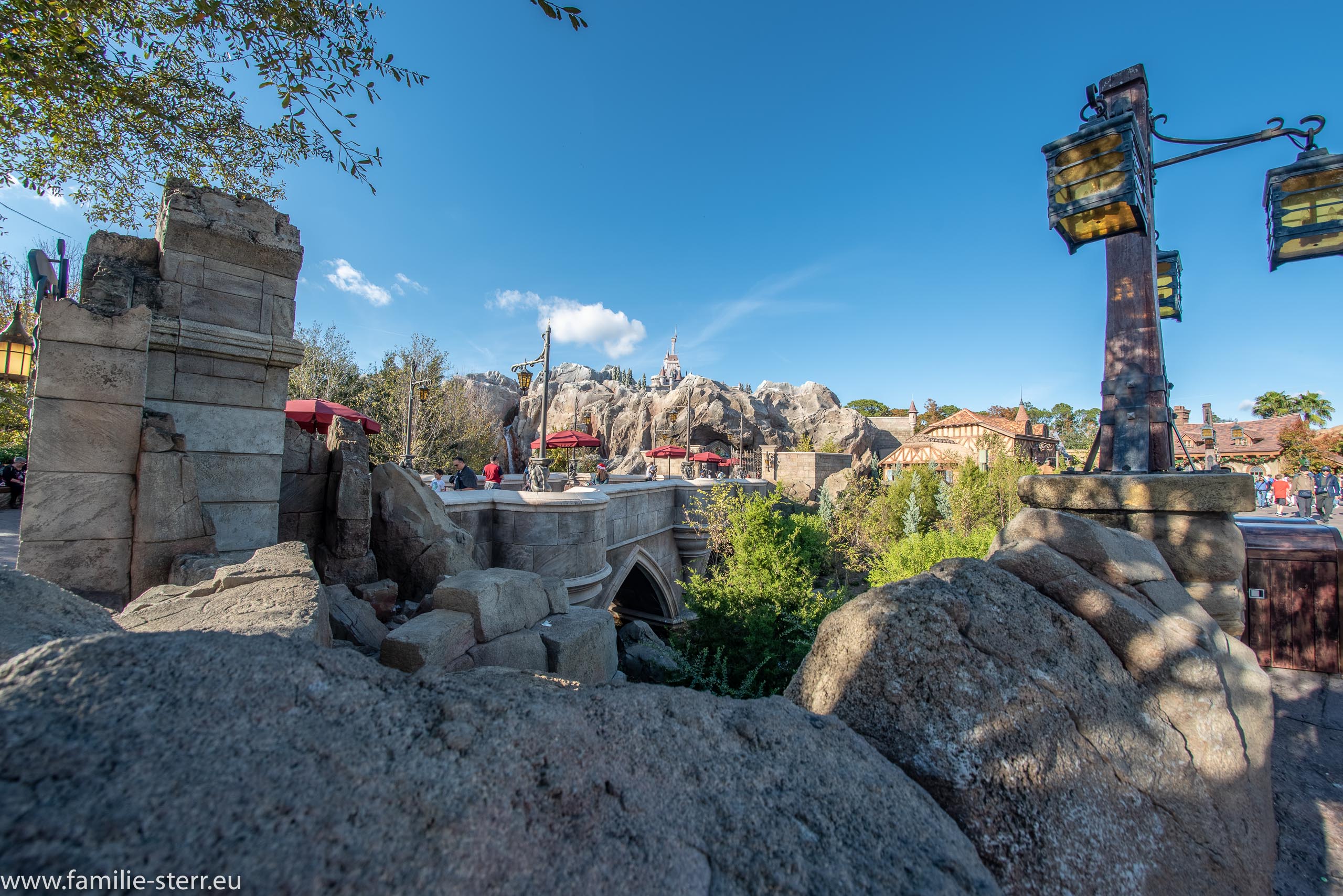 Magic Kingdom 205